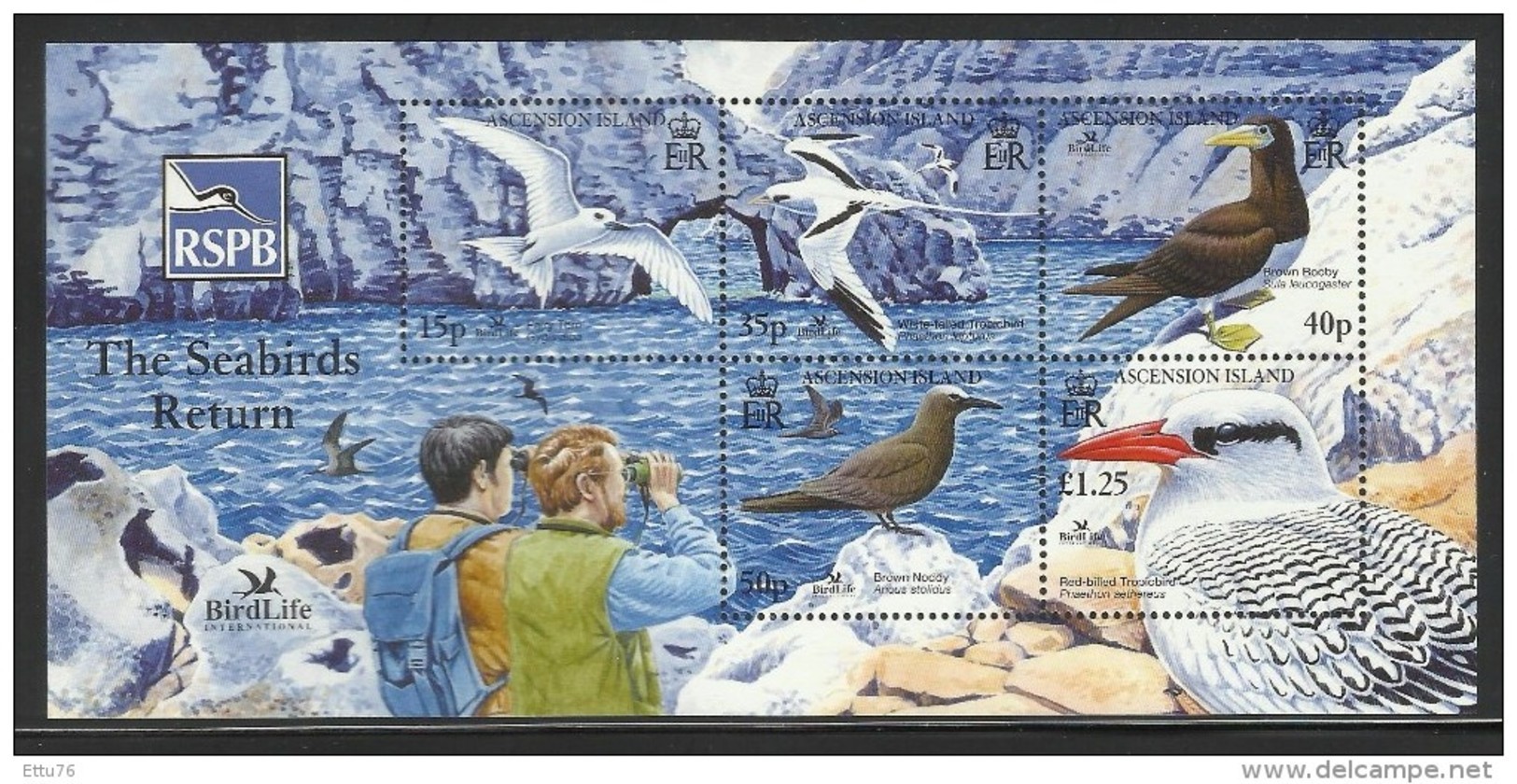 ASCENSION   2005  BIRDS  SHEET  MNH - Other & Unclassified