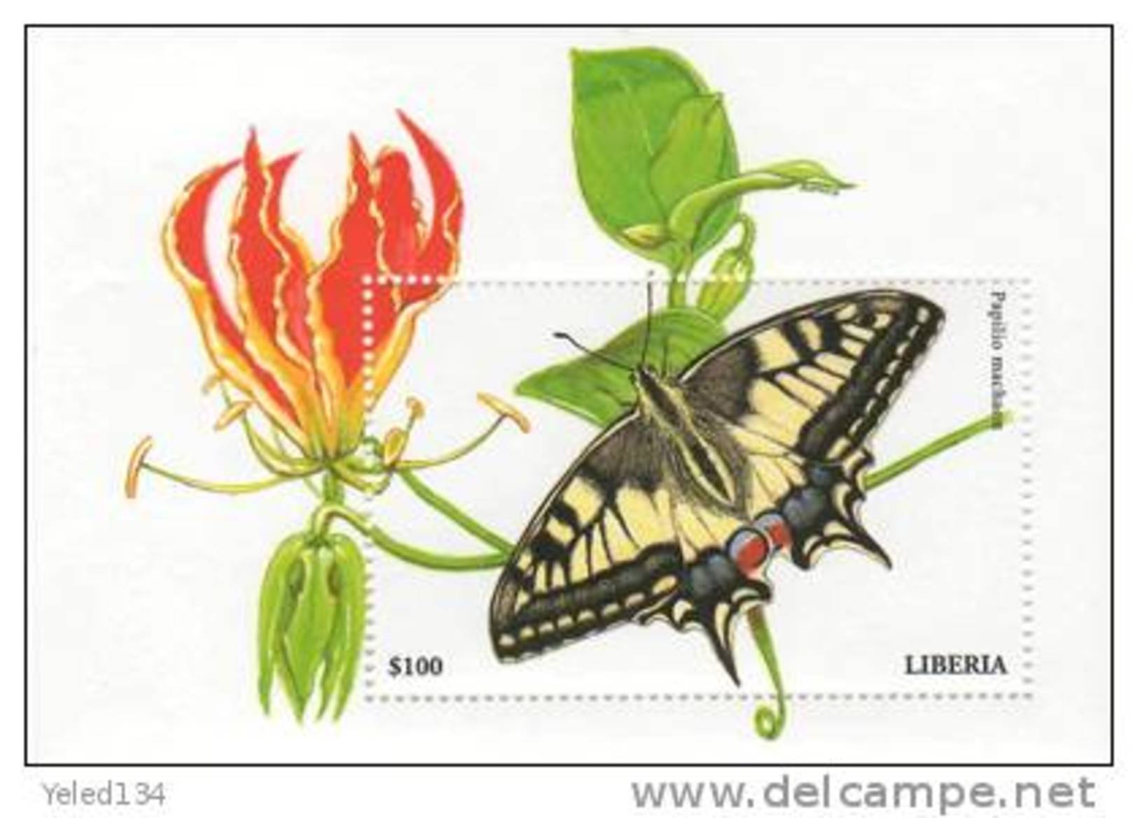 LIBERIA  2225  MINT NEVER HINGED SOUVENIR SHEET OF BUTTERFLIES   (  0316 - Schmetterlinge