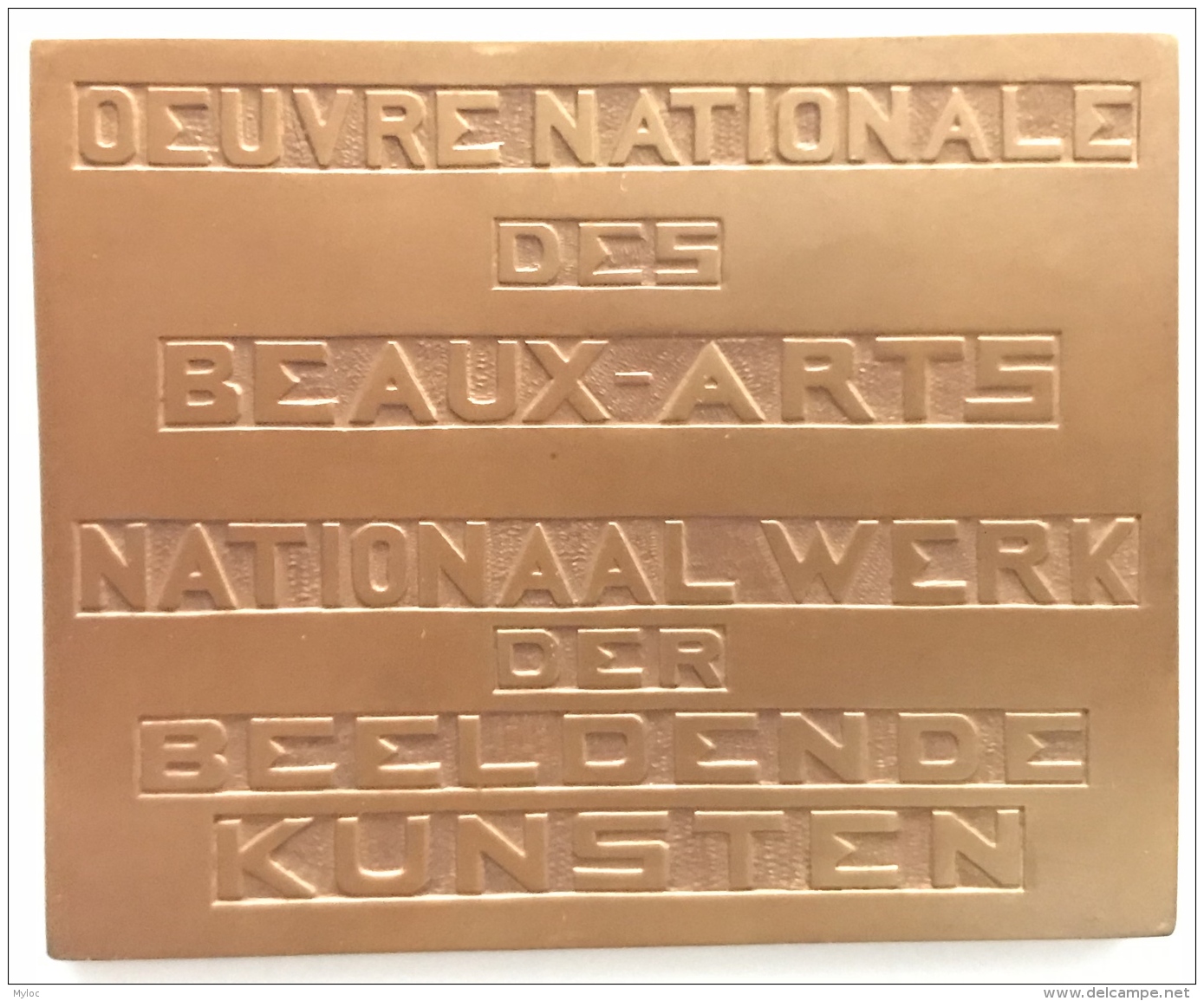 Médaille  Bronze Oeuvre Nationale Des Beaux-arts. Dolf Ledel. 67x55mm - 105 Gr - Professionnels / De Société