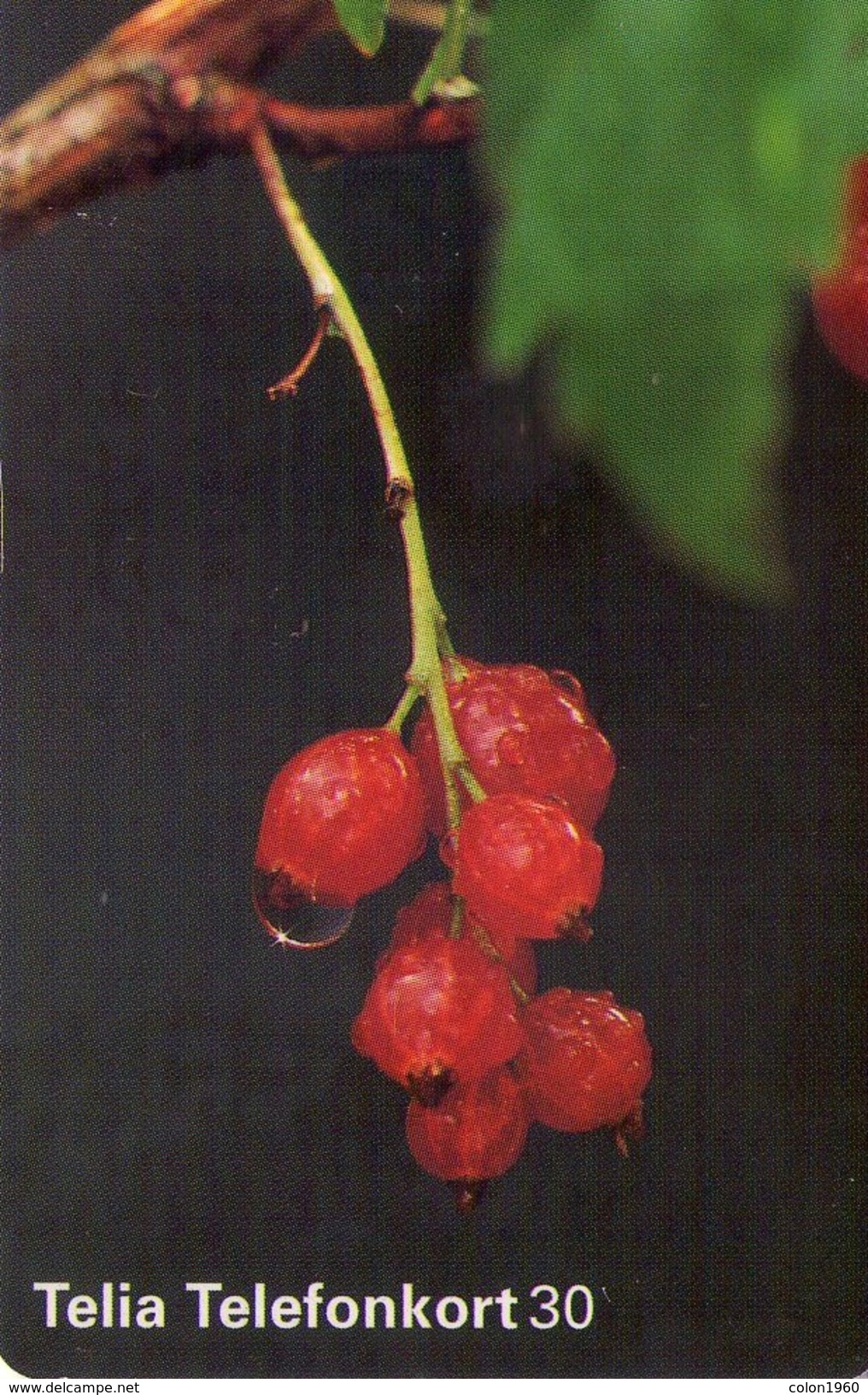 SUECIA. SE-TEL-030-0263. Bilberries - Röda Vinbär. 1997-09. (480) - Schweden