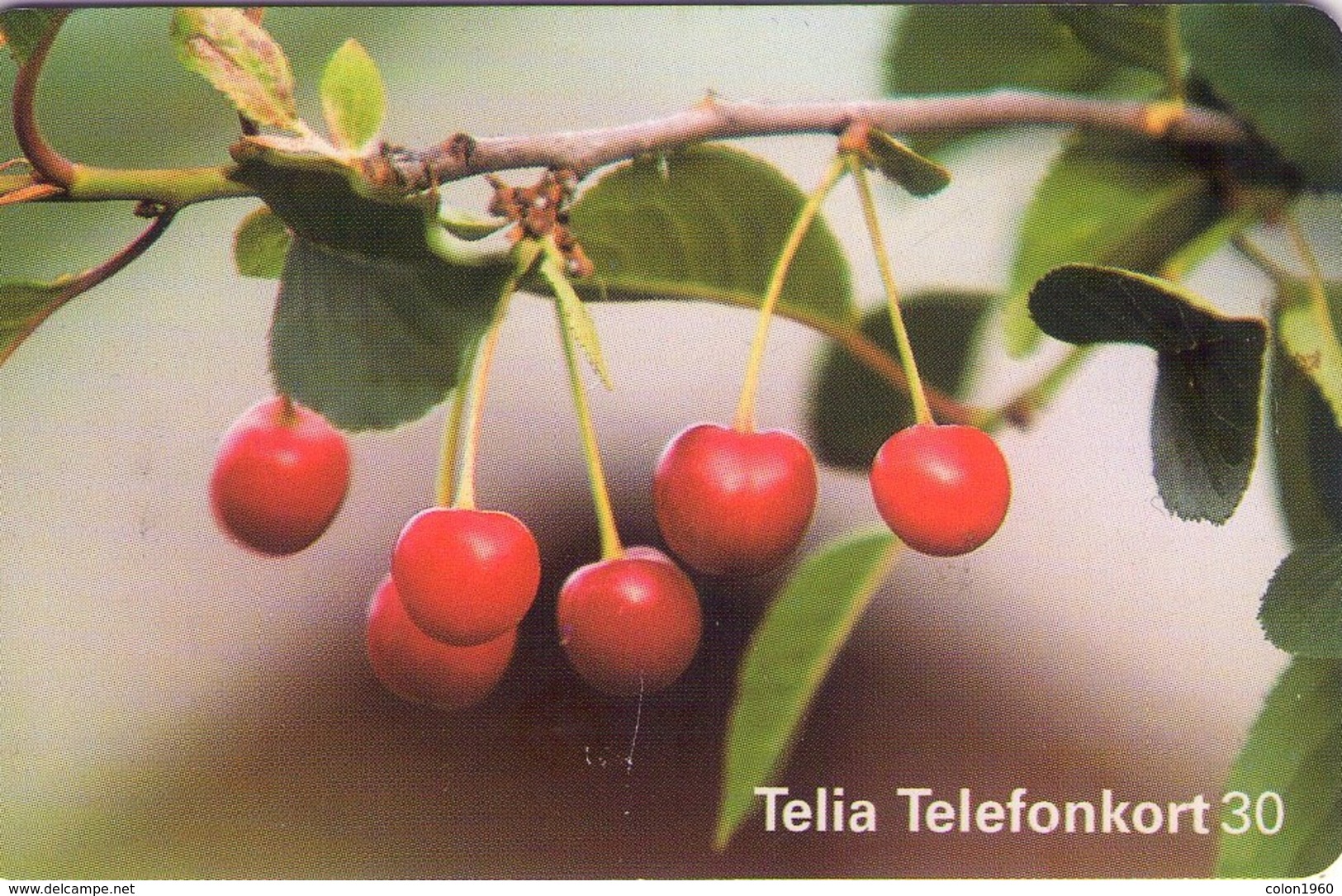 SUECIA. SE-TEL-030-0356. Cerezas - Cherries - Körsbär. 1998-09. (484) - Schweden