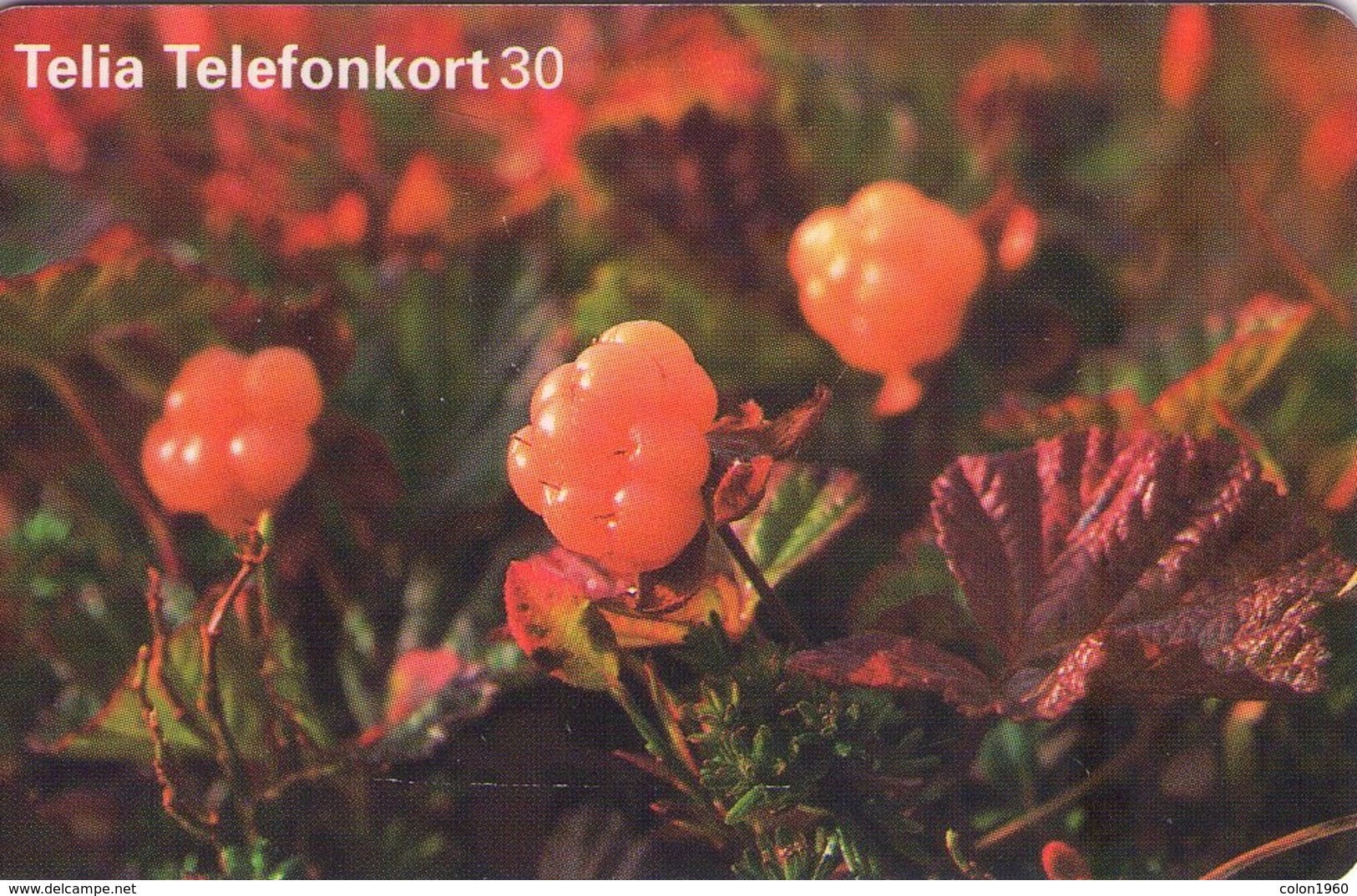 SUECIA. SE-TEL-030-0353. Cloudberries - Hjortron. 1998-07. (486) - Schweden