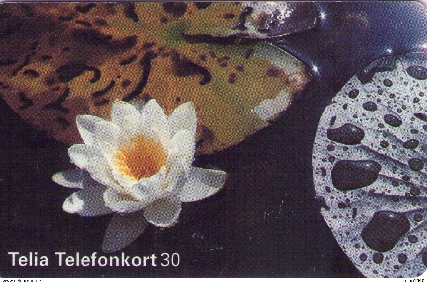SUECIA. SE-TEL-030-0161. Lirios - White Water Lily - Näckros. 1996-07. (490) - Suecia