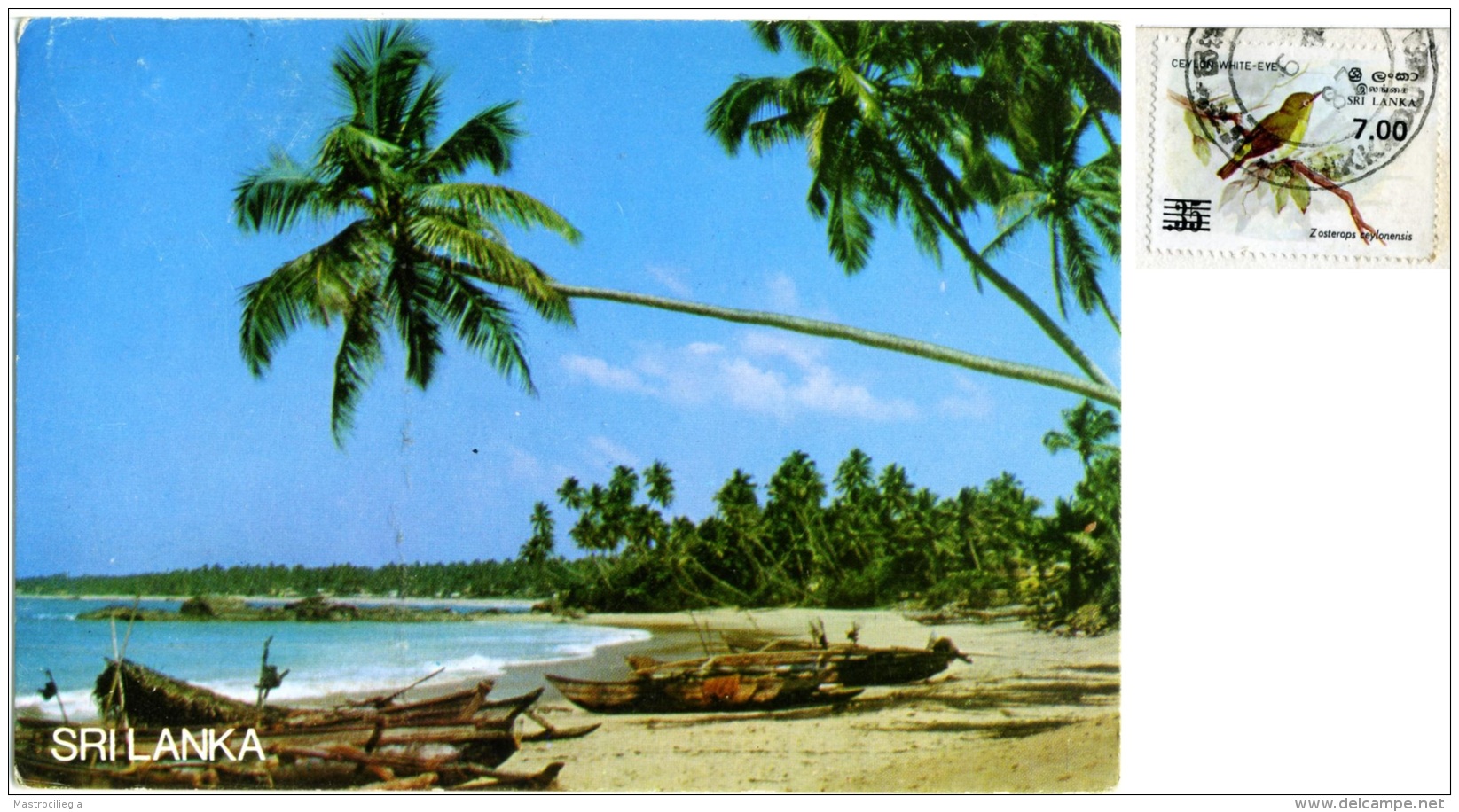 SRY LANKA  CEYLON  Beach Scene  Nice Stamp Bird Theme - Sri Lanka (Ceylon)