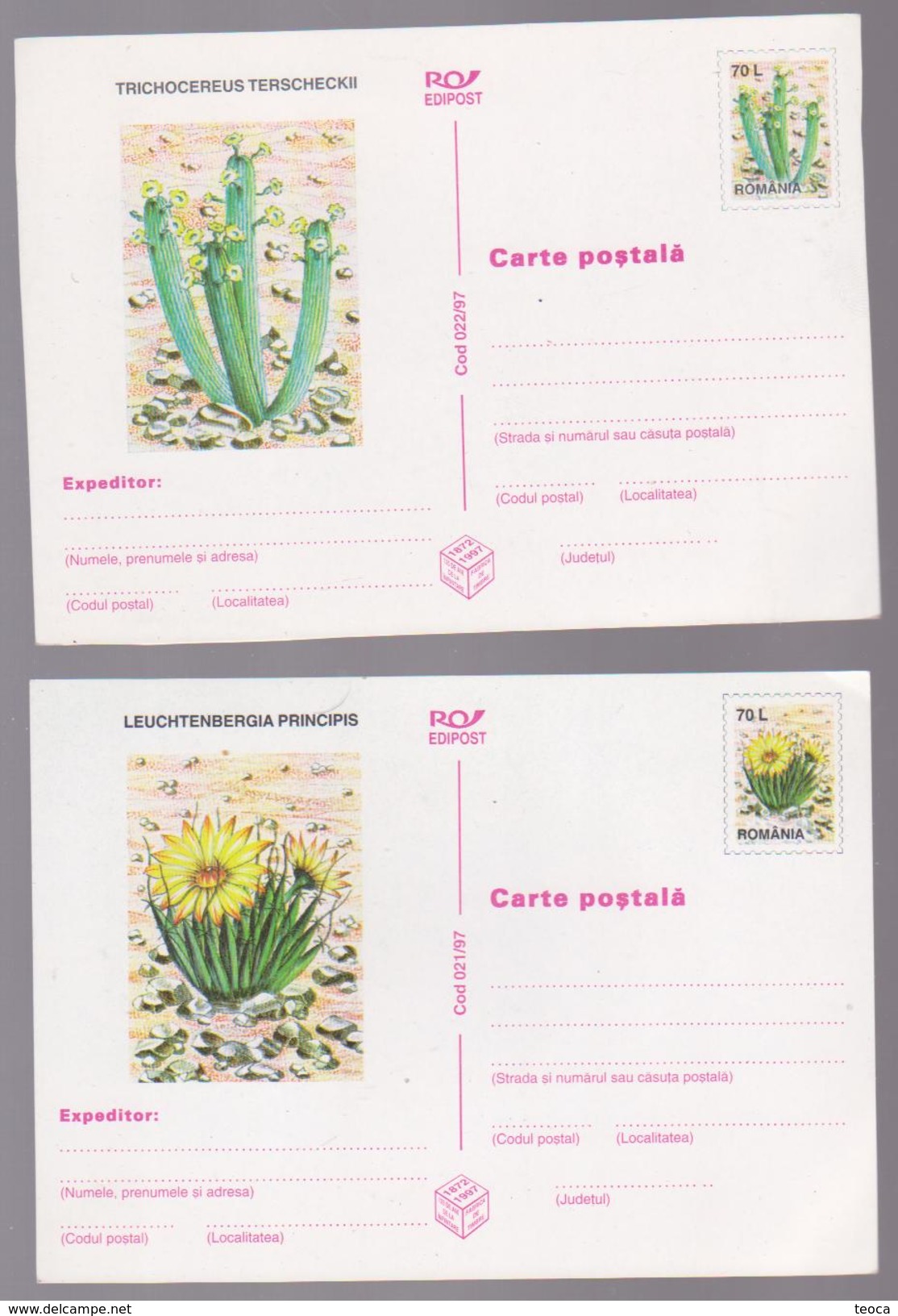 CACTUSSES, POST CARD ROUMANIE 1997 2 POST CARD CACTUSSES - Cactus