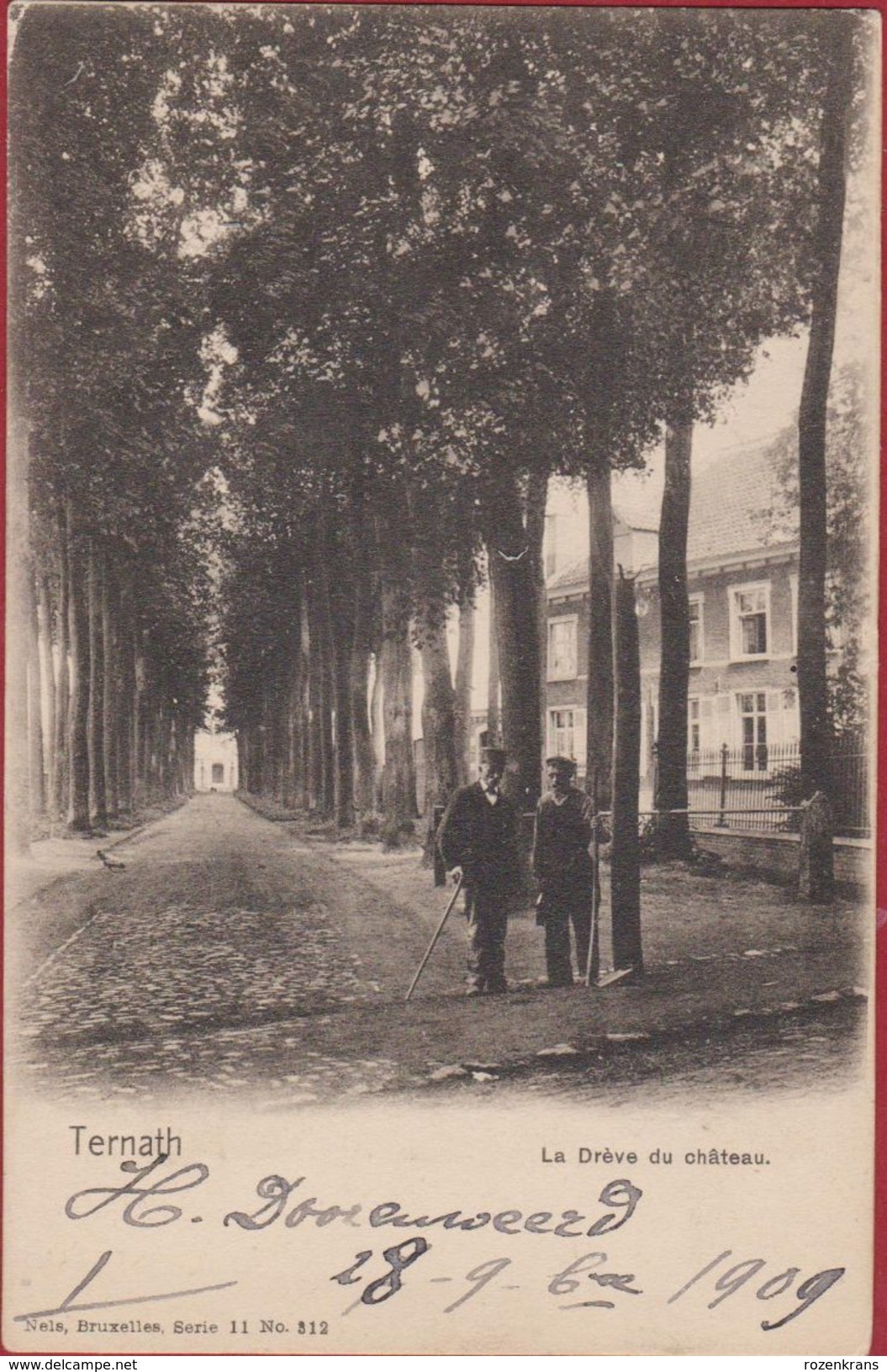 Ternat Ternath La Dreve Du Chateau Kasteel Kasteeldreef 1909 Geanimeerd - Ternat