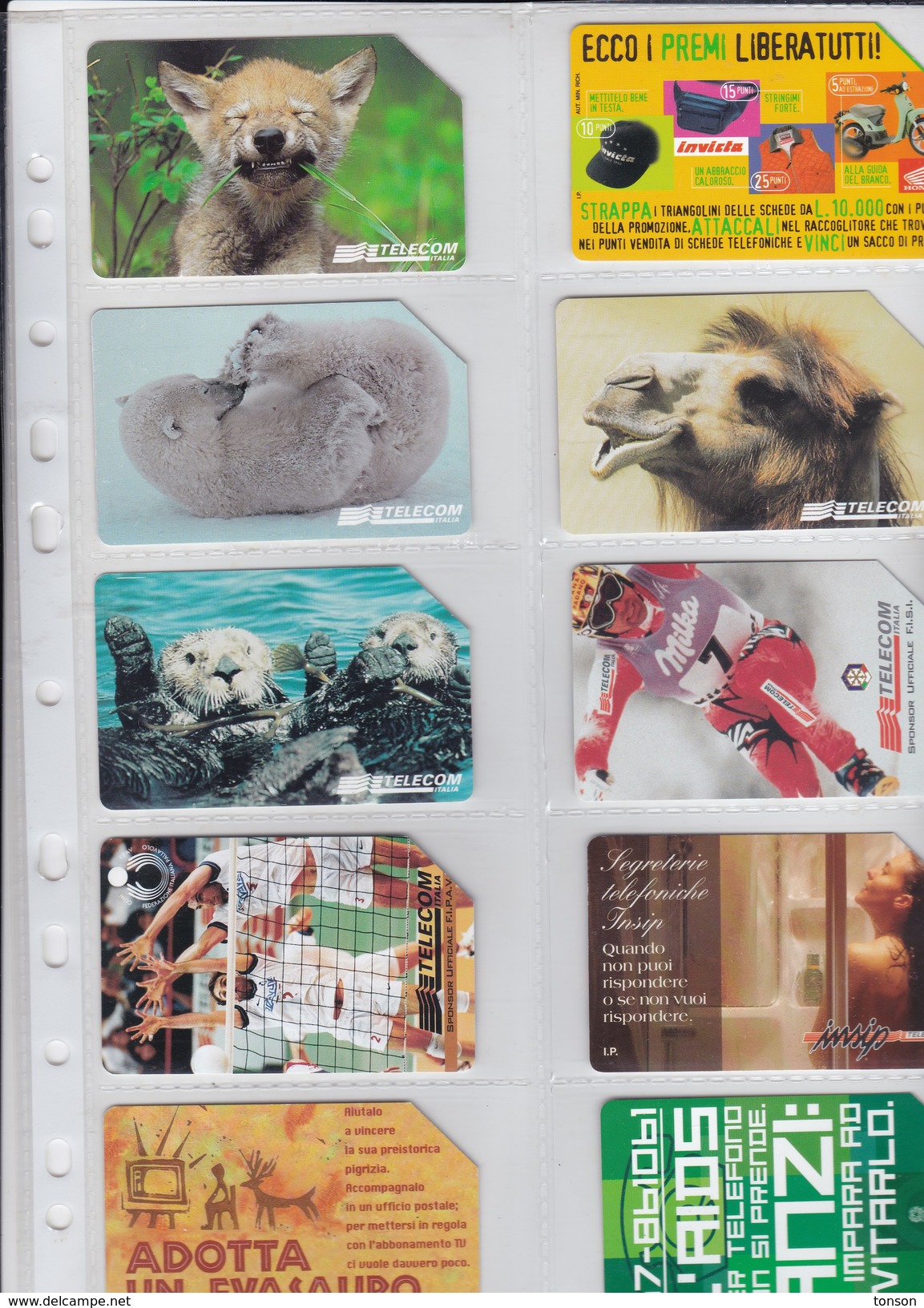Italy, 10 Different Cards Number 5, Fox, Polar Bear, Camel, Otter, Sport, 2 Scans. - Verzamelingen
