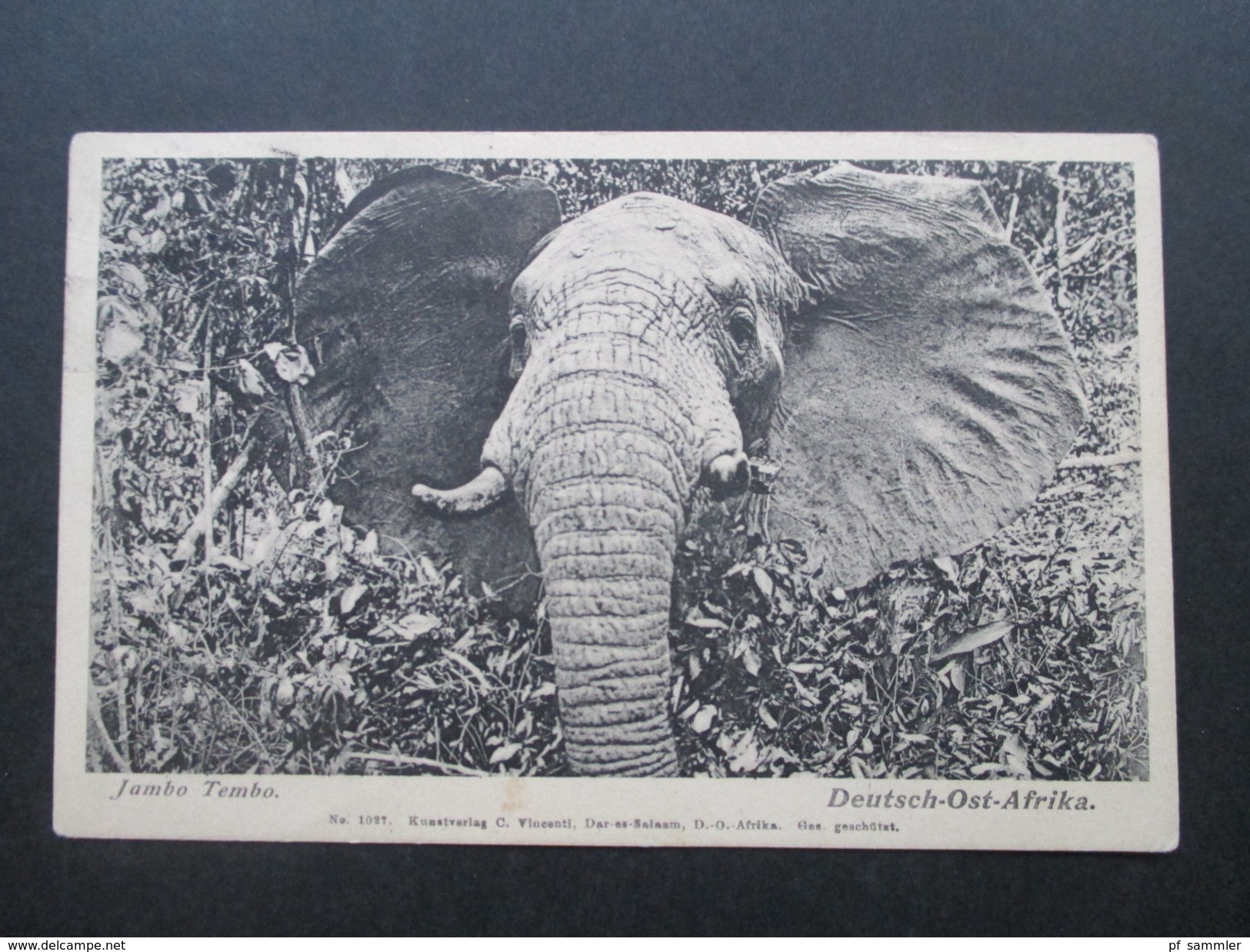 DR Kolonie DOA Stempel Lindi Deutsch Ostafrika. PK Elefant. Jambo Tembo. Kunstverlag C. Vincenti Dar-Es-Salaam - German East Africa