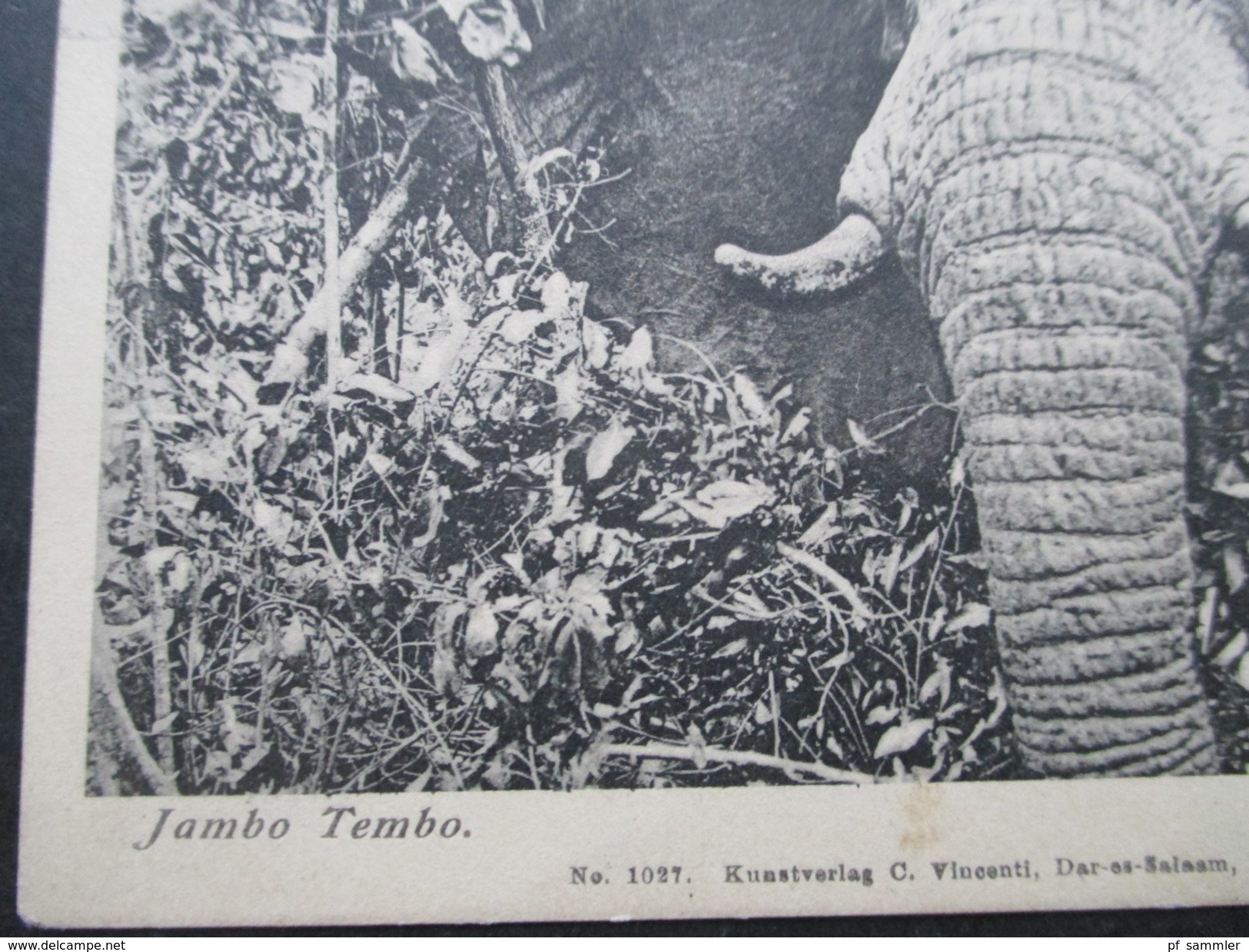 DR Kolonie DOA Stempel Lindi Deutsch Ostafrika. PK Elefant. Jambo Tembo. Kunstverlag C. Vincenti Dar-Es-Salaam - Duits-Oost-Afrika
