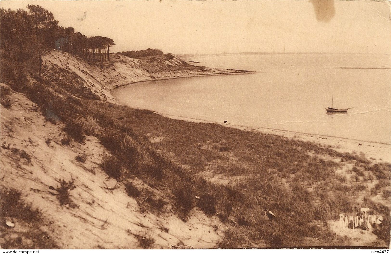 Cpa La Tranche Sur Mer La Belle Henriette - Cricket