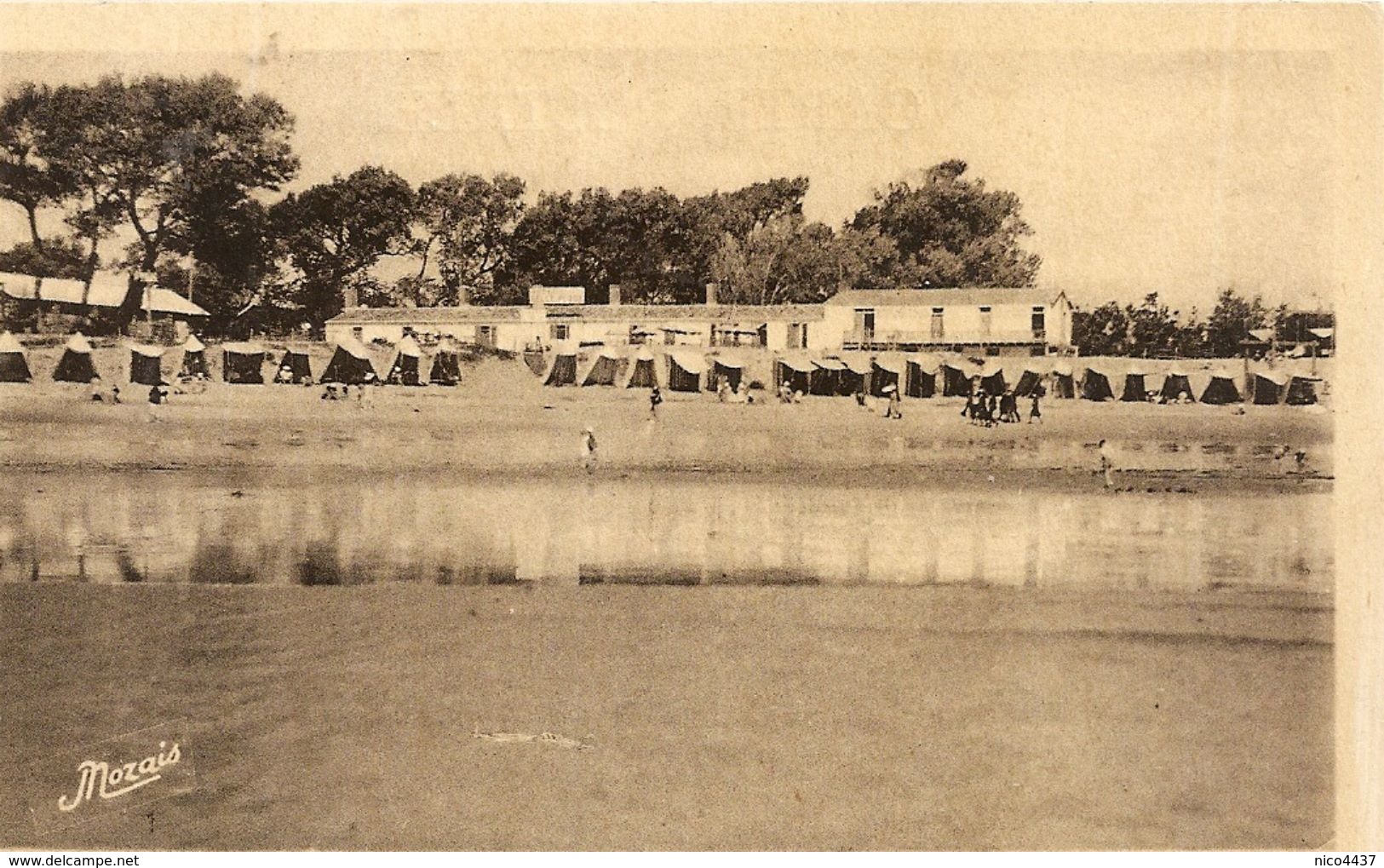 Cpa La Tranche Sur Mer La Plage - Cricket