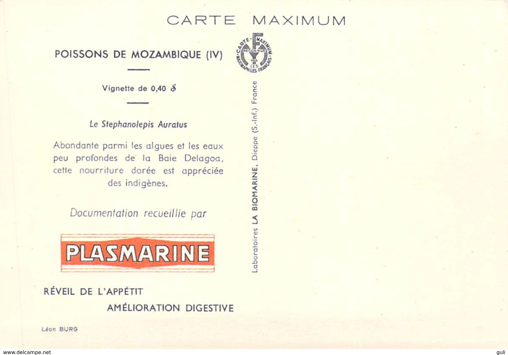 Afrique Poissons De MOZAMBIQUE Le Stephanolepis Auratus  - CARTE MAXIMUM Pub PLASMARINE  Timbre Stamp MOCAMBIQUE - Mozambique