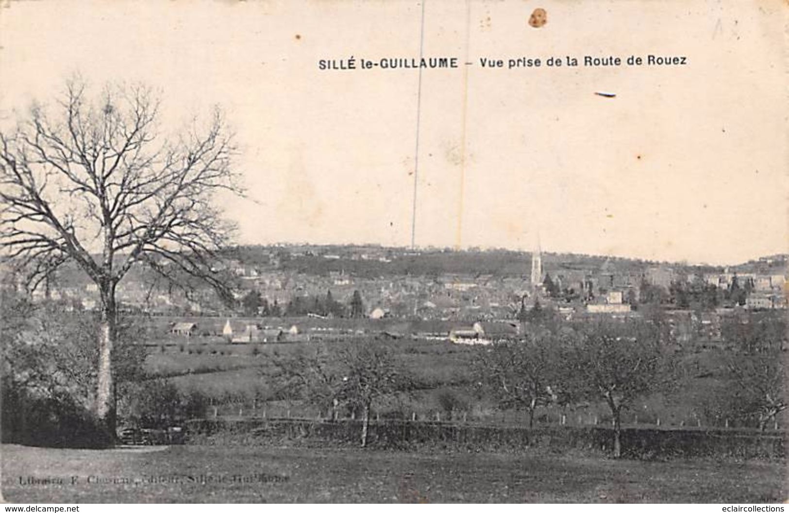 Sillé Le Guillaume       72       Vue Prise De La Route De Rouez            (voir Scan) - Sille Le Guillaume