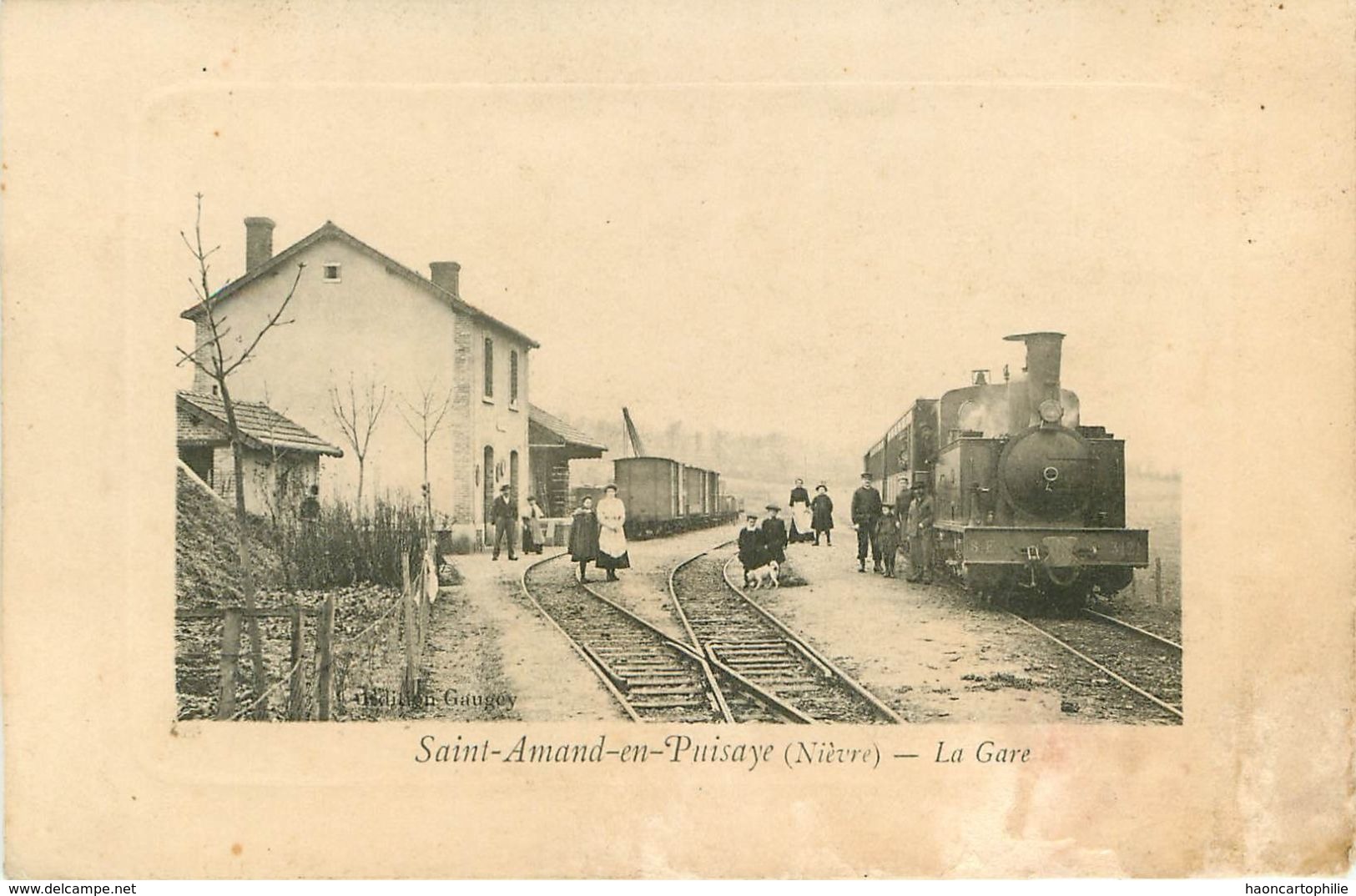 58 Saint Amand En Puysaye  La Gare Train - Saint-Amand-en-Puisaye