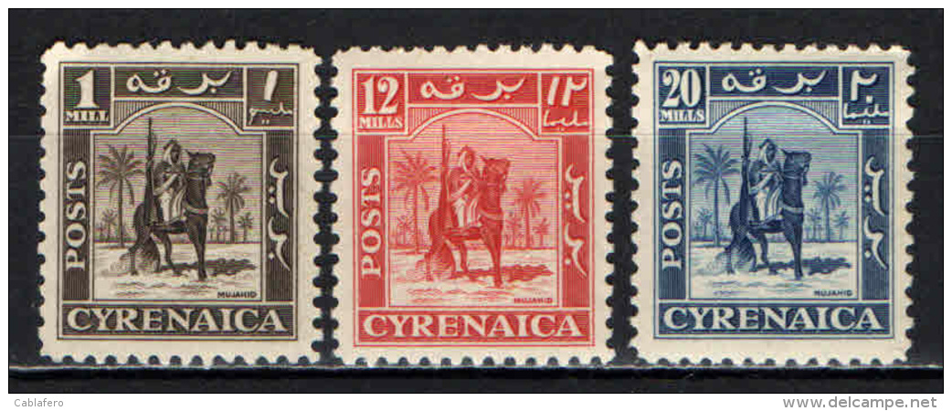 CIRENAICA - 1950 - CAVALIERE SENUSSITA - NUOVI MH - Cirenaica