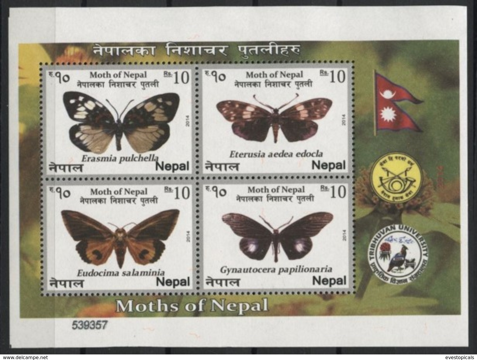 NEPAL, NIGTH BUTTERFLIES / MOTHS / INSECTS 2014, SET 3 MINISHEETS - Népal