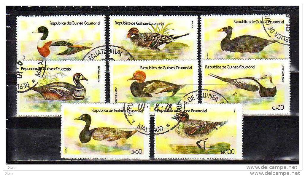 D- GUINEE EQUATORIALE YV N° 152 @OBL-USED@ Oiseaux D'eau, Canards SERIE COMPLETE - Canards