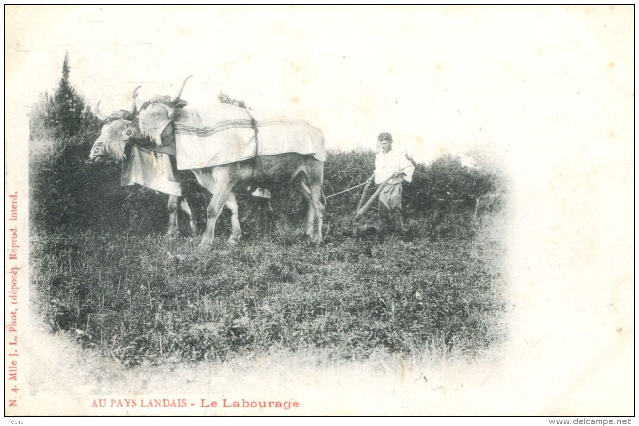 N°59016 -cpa Pays Landais -le Labourage- - Attelages