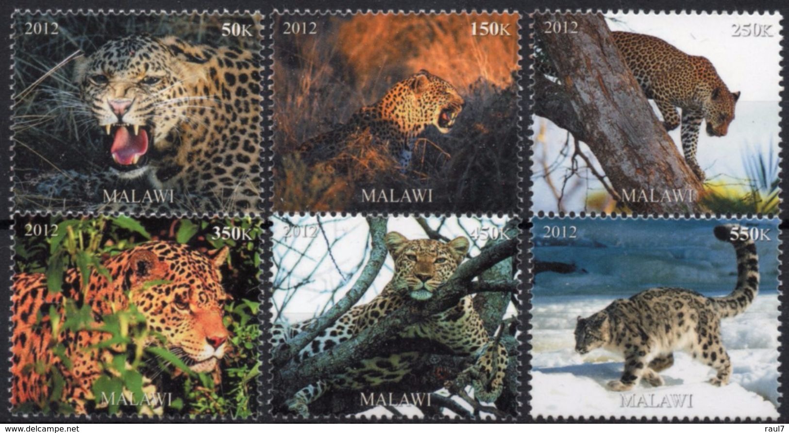 Faune Africaine, Panthères - 6 Timbres Neufs 2012 // Mnh - Big Cats (cats Of Prey)