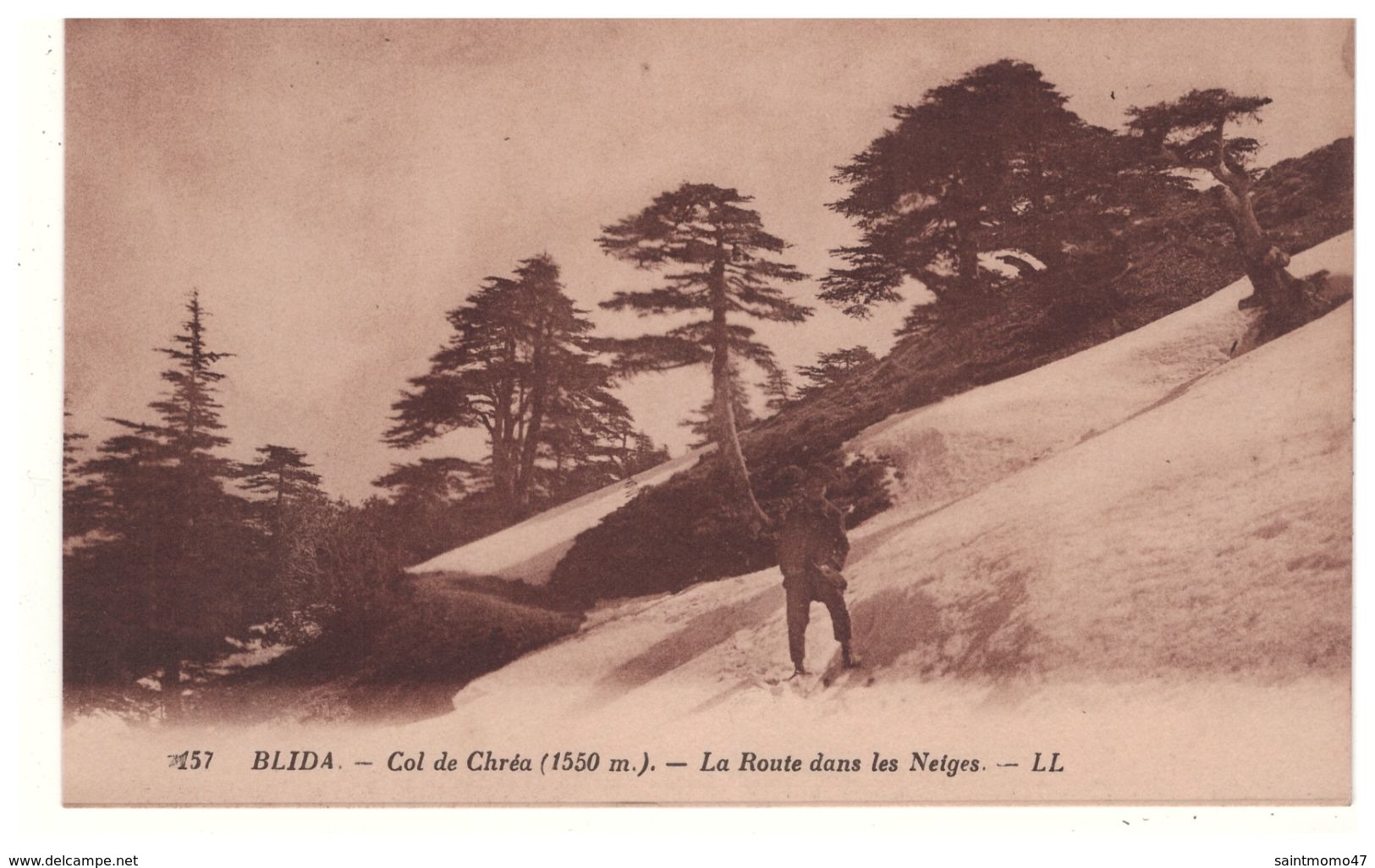 Algérie . Blida . Col De Chréa . La Route Dans Les Neiges - Réf. N°5428 - - Blida