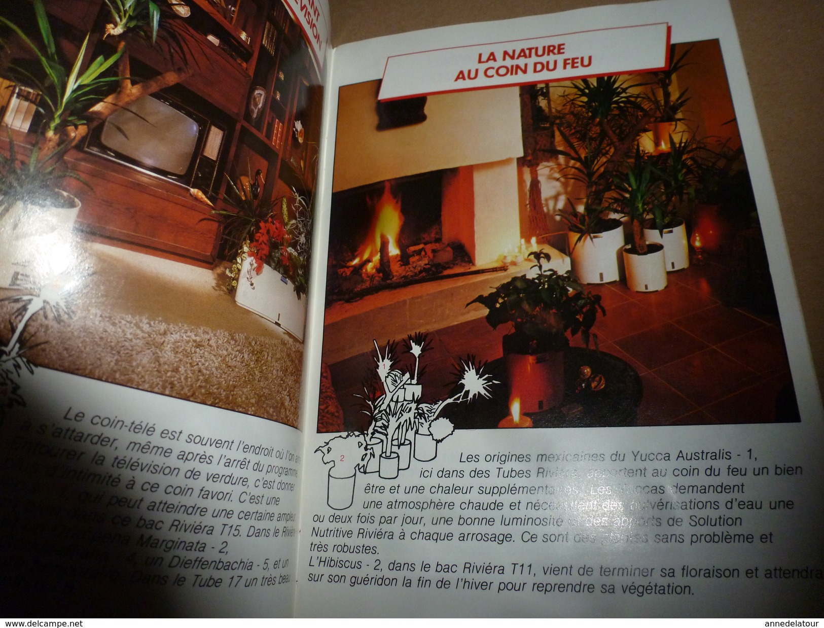 1960-1970 RIVIERA Pour Réussir Vos Coins De Décoration Avec Des Plantes - Publicités