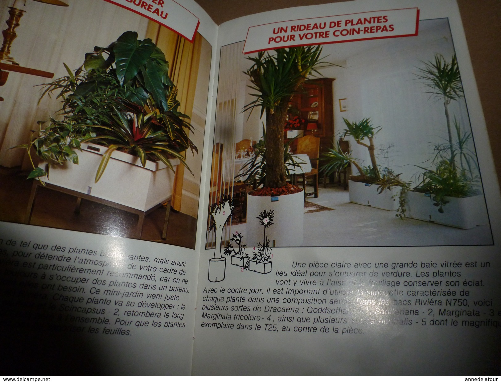 1960-1970 RIVIERA pour réussir vos coins de décoration avec des plantes