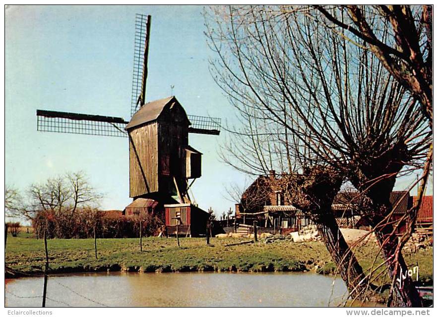 Kruystraete         59         Moulin A Vent     10 X 15       ( Voir Scan) - Sonstige & Ohne Zuordnung