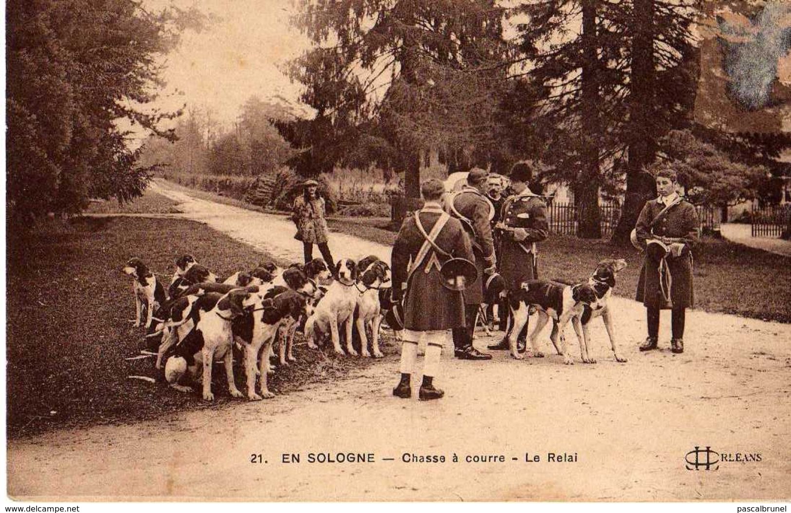 EN SOLOGNE - CHASSE A COURRE - LE RELAI - Autres & Non Classés