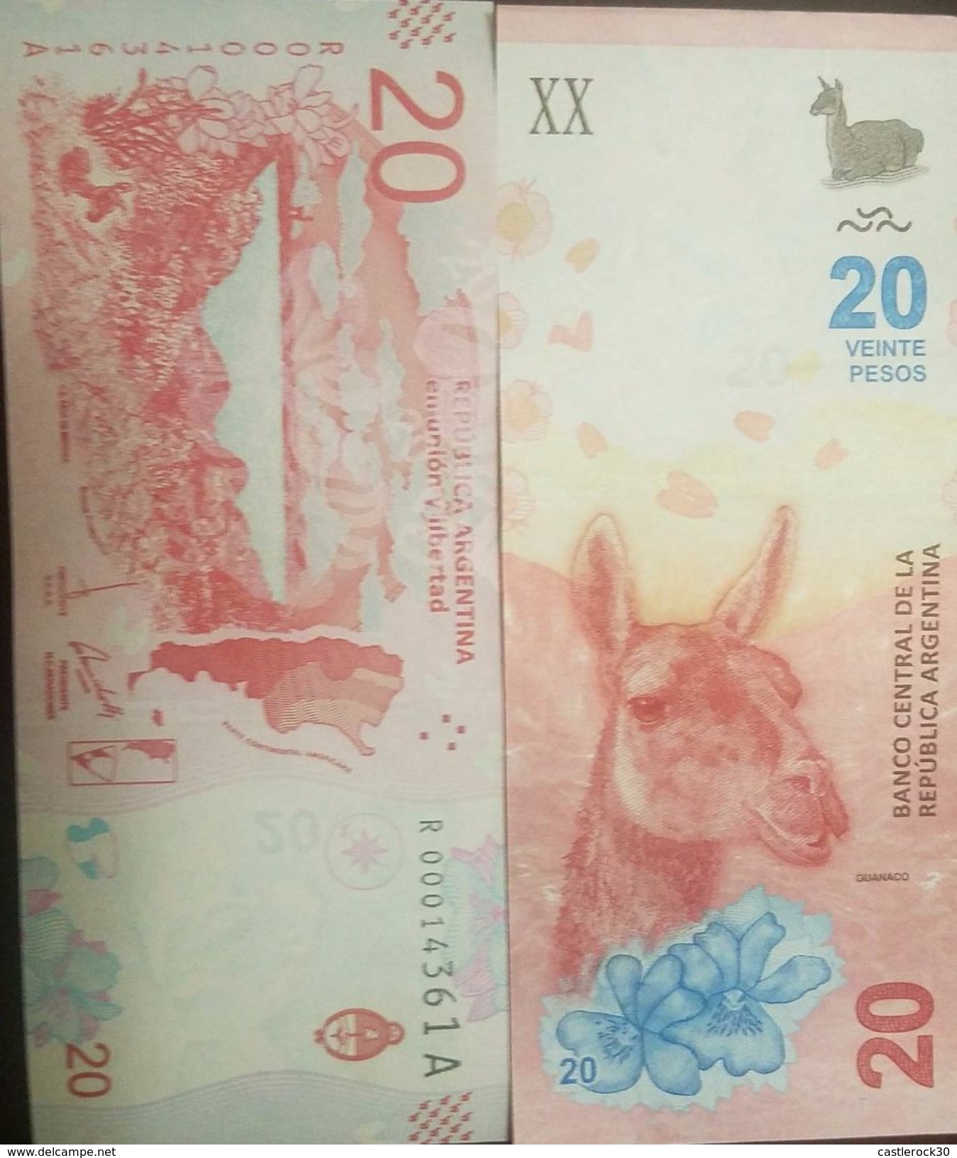 O) 2017 ARGENTINA, BANKNOTE 20 PESOS-ISO 4217 ARP- ESTEPA PATAGONICA-JUANACO CAMELIDO, UNC - Argentine