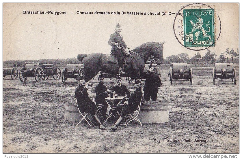 BRASSCHAAT - POLYGONE : Chevaux Dressés De La 3e Batterie à Cheval - Andere & Zonder Classificatie