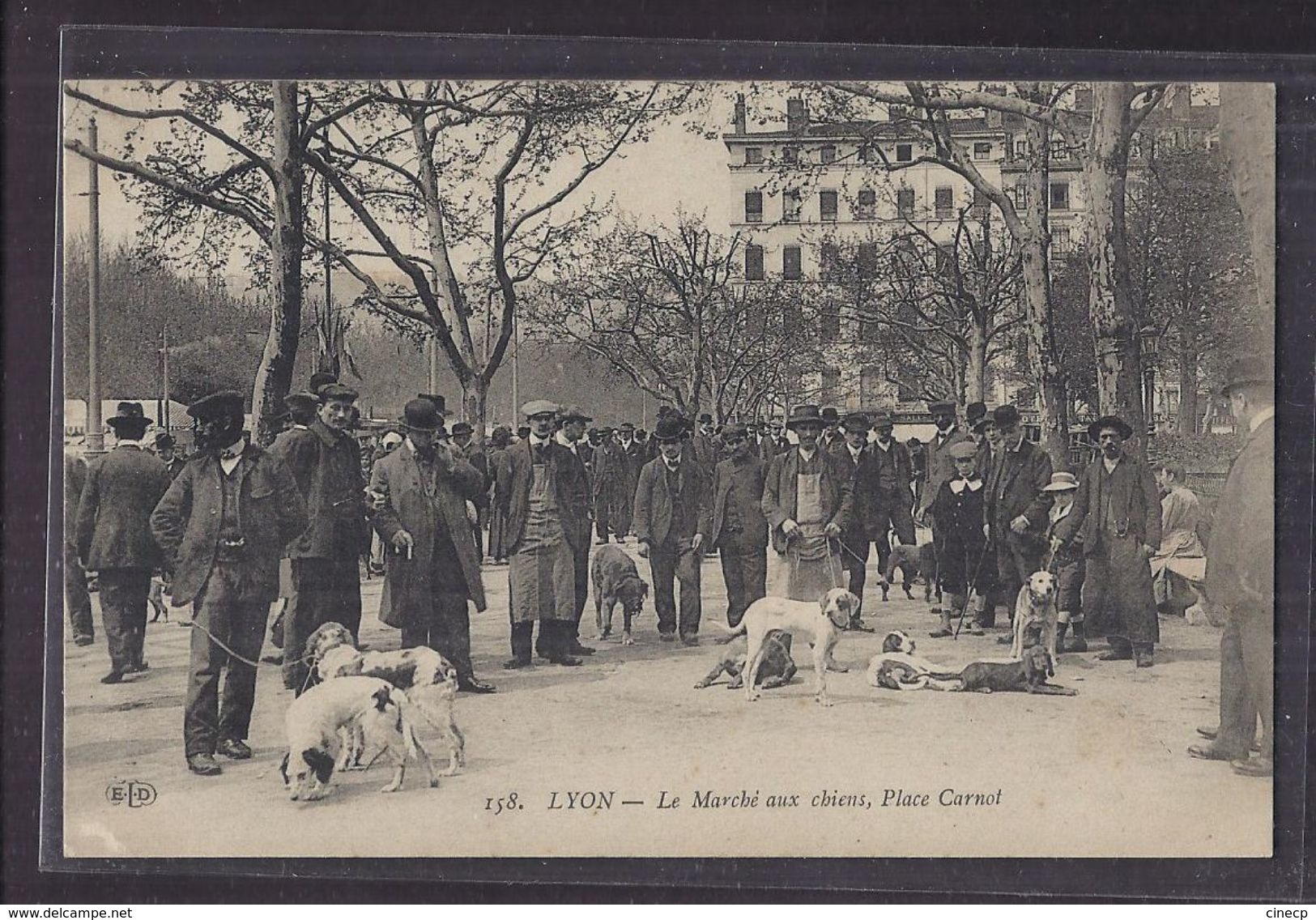 CPA 69 - LYON - Le Marché Aux Chiens - Place Carnot - SUPERBE GROS PLAN ANIMAUX ANIMATION Marché Nommé - Autres & Non Classés