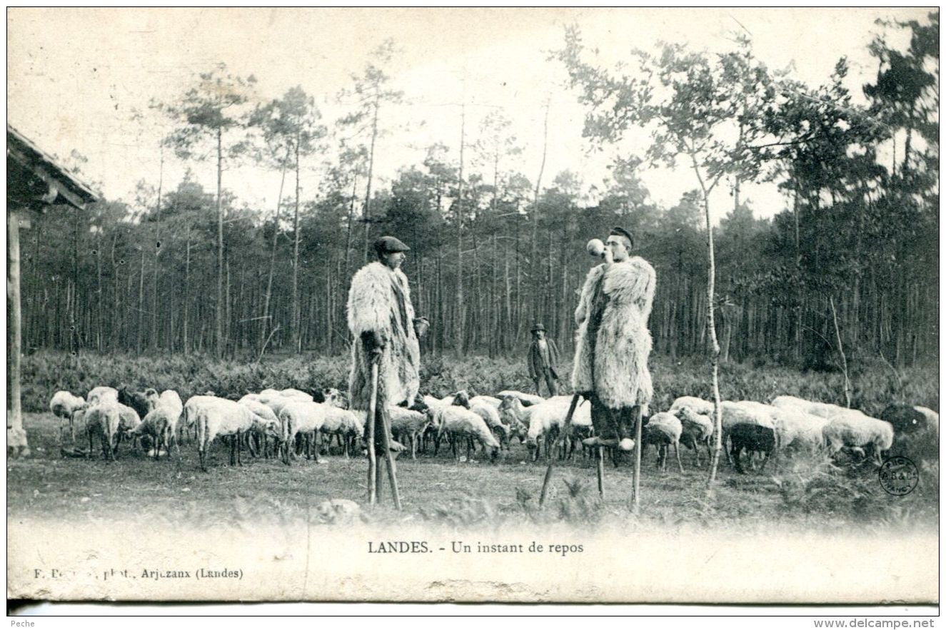 N°59062 -cpa Landes -un Instant De Repos- Moutons- - Elevage