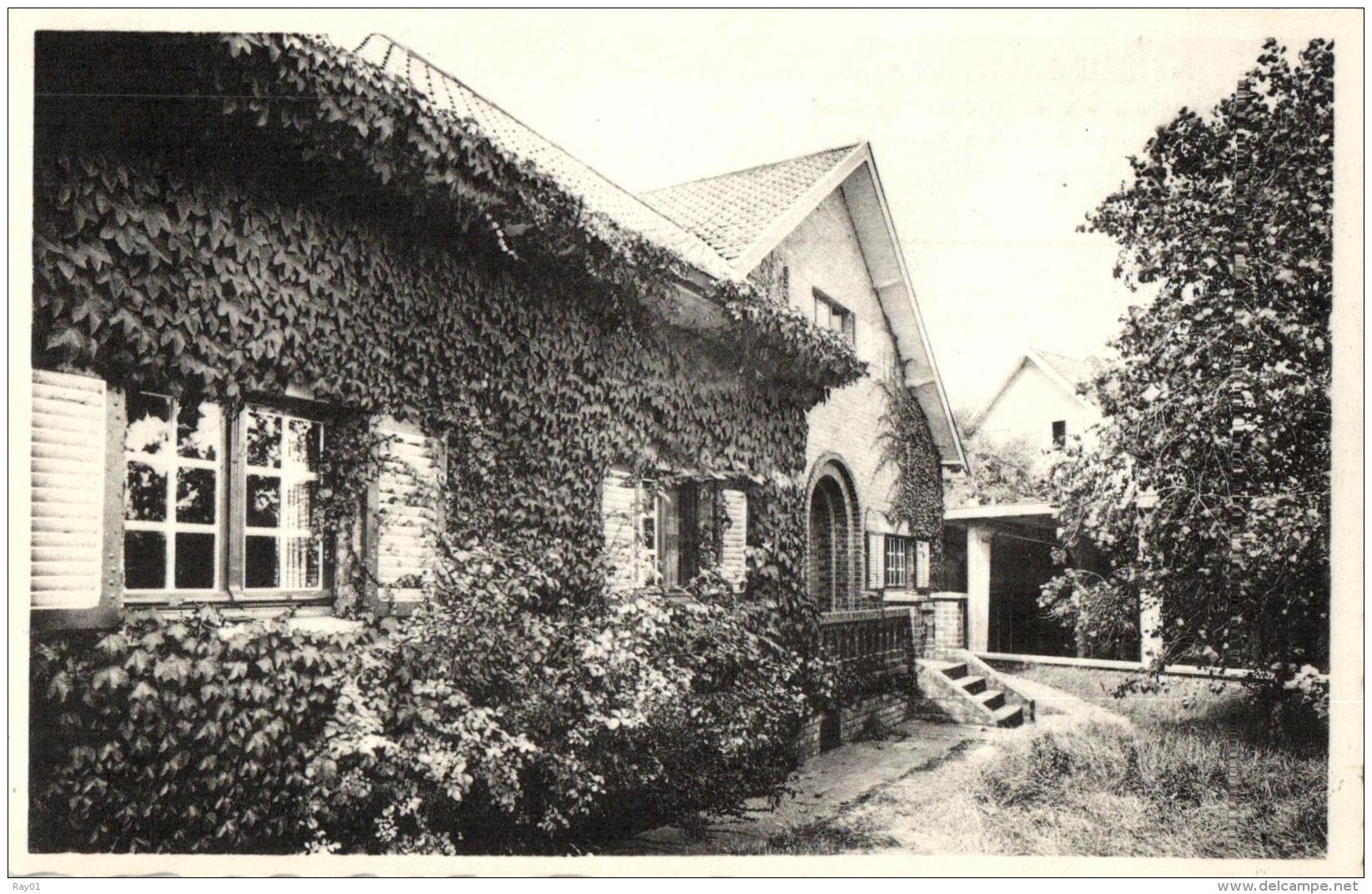 BELGIQUE - FLANDRE OCCIDENTALE - KOKSIJDE  - OOSTDUINKERKE - Home Eastfield (vacantiekolonie - Colonie De Vacances). - Koksijde