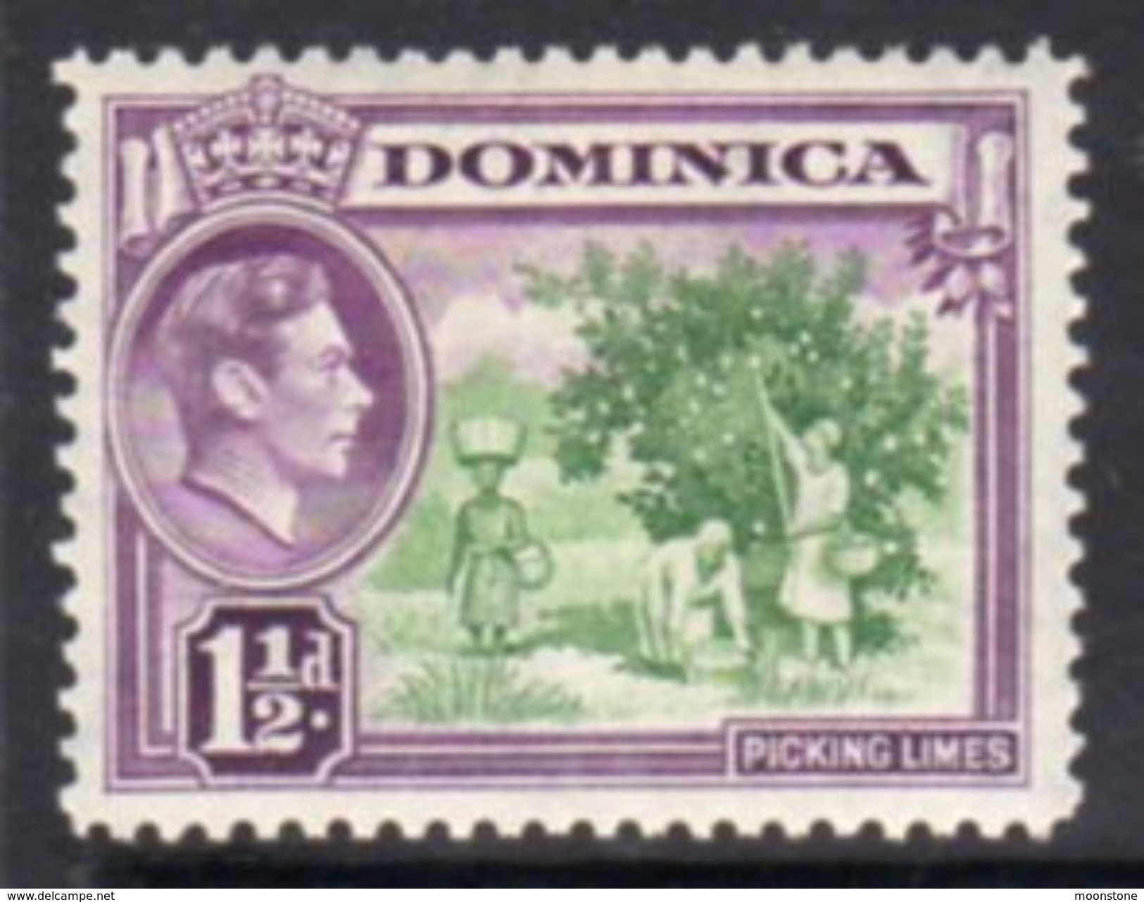 Dominica 1938-47 GVI 1½d Pictorial Definitive, Hinged Mint, SG 101 - Dominica (...-1978)