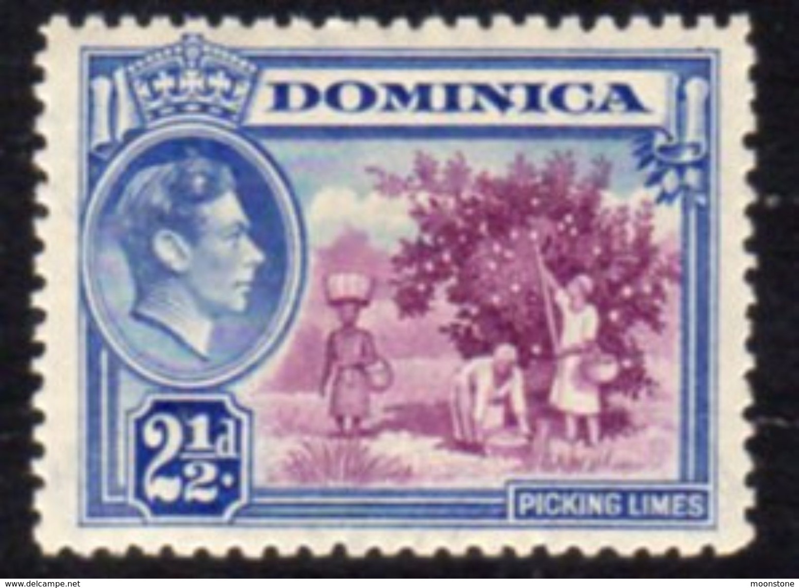 Dominica 1938-47 GVI 2½d Pictorial Definitive, Hinged Mint, SG 103 - Dominica (...-1978)