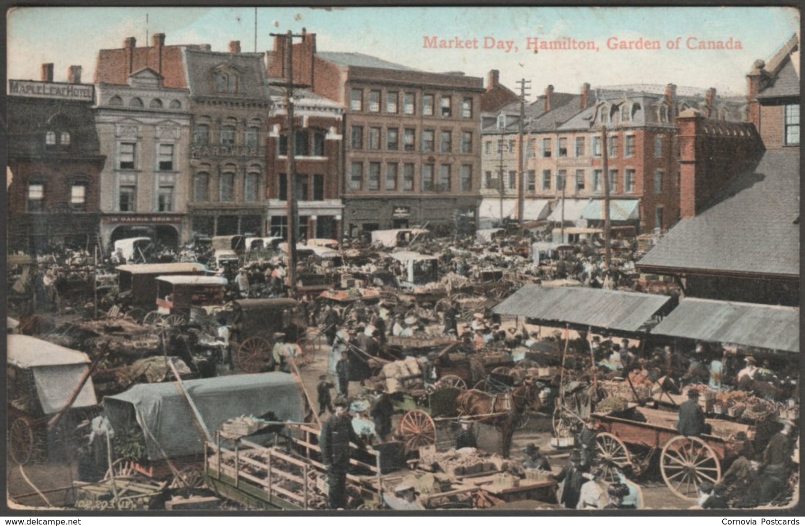 Market Day, Hamilton, Ontario, Canada, 1909 - Valentine's Postcard - Hamilton