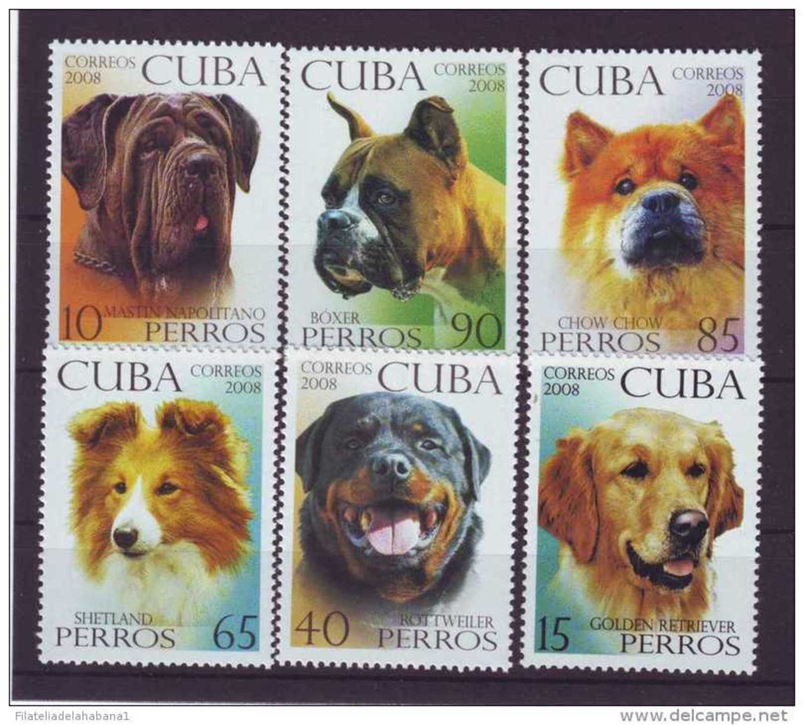 2008.7 CUBA MNH 2008 DOG, BOXER, MASTIN, CHOW CHOW, PERROS. - Neufs
