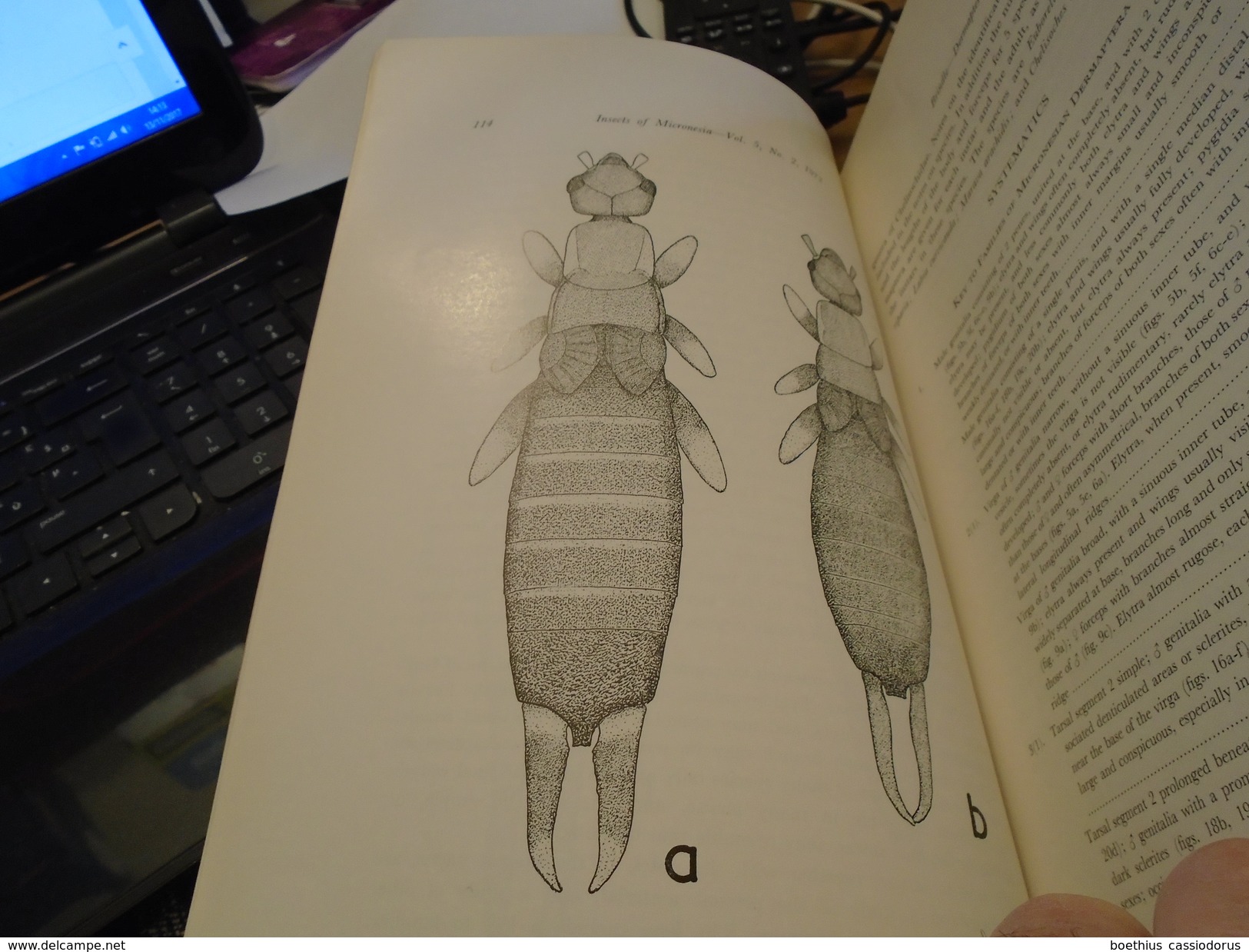 Entomologie, Insectes : INSECTS OF MICRONESIA DERMAPTERA By A. BRINDLE, MANTODEA By M. BEIER Honolulu, Hawaii, 1972 - Sciences Biologiques