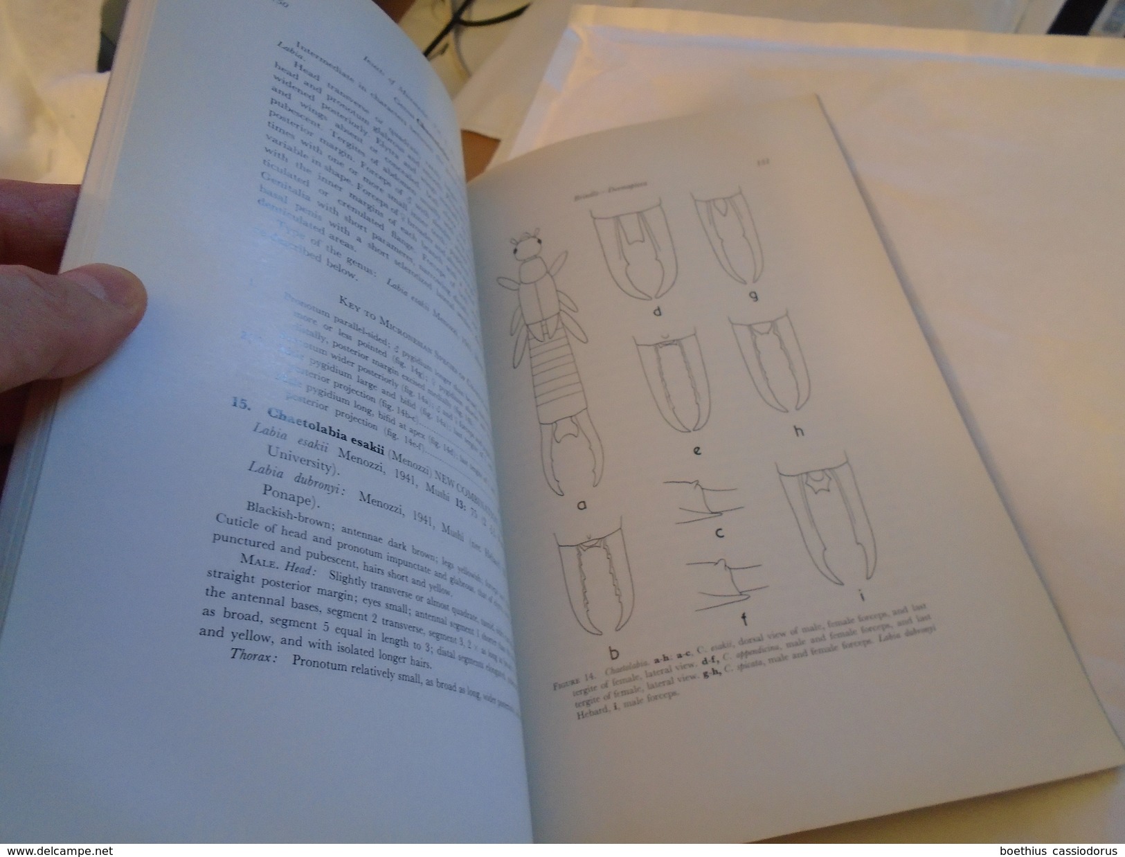 Entomologie, Insectes : INSECTS OF MICRONESIA DERMAPTERA By A. BRINDLE, MANTODEA By M. BEIER Honolulu, Hawaii, 1972 - Biologische Wetenschappen