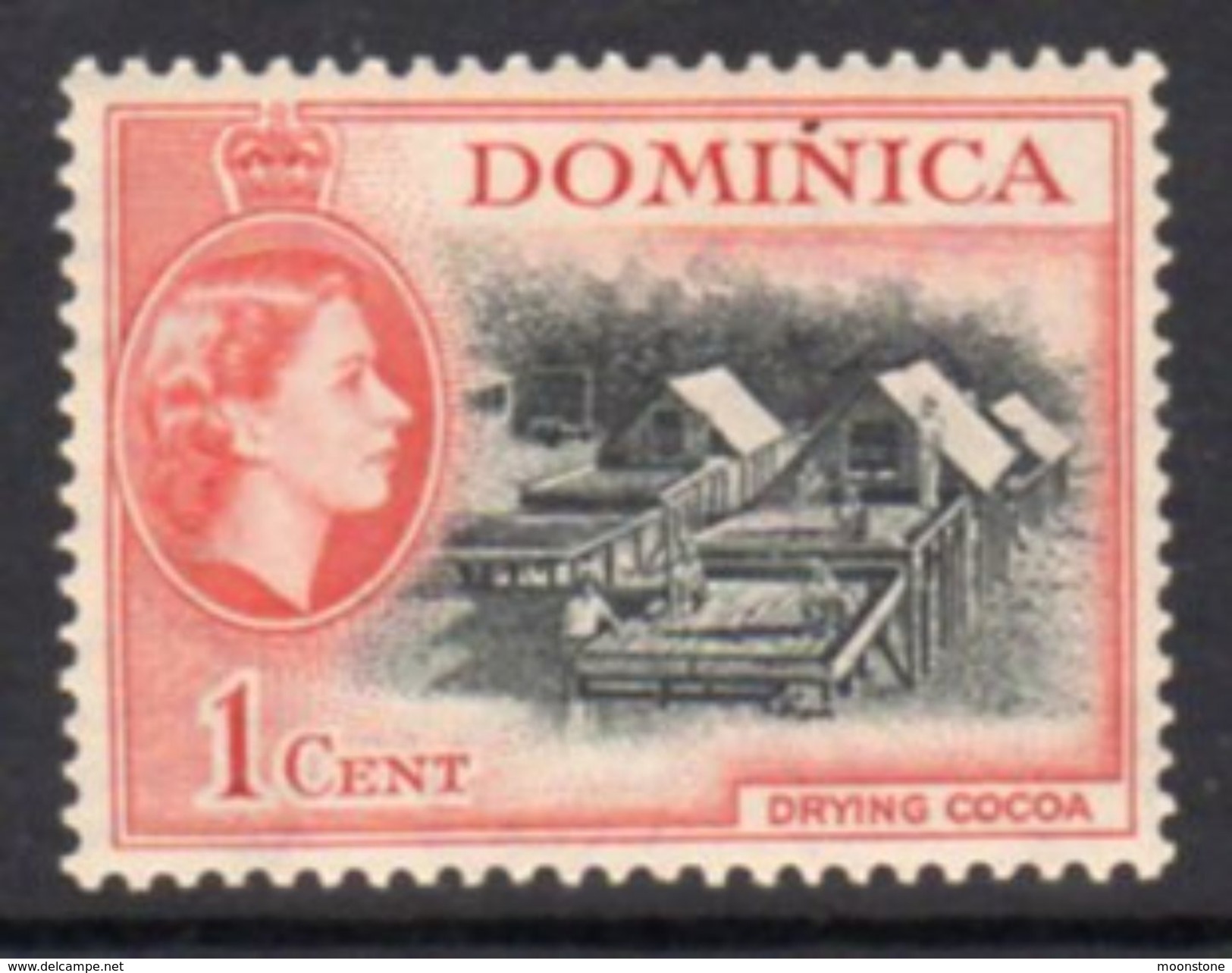 Dominica 1954-62 QEII 1c Drying Cocoa Definitive, MNH, SG 141 - Dominica (...-1978)