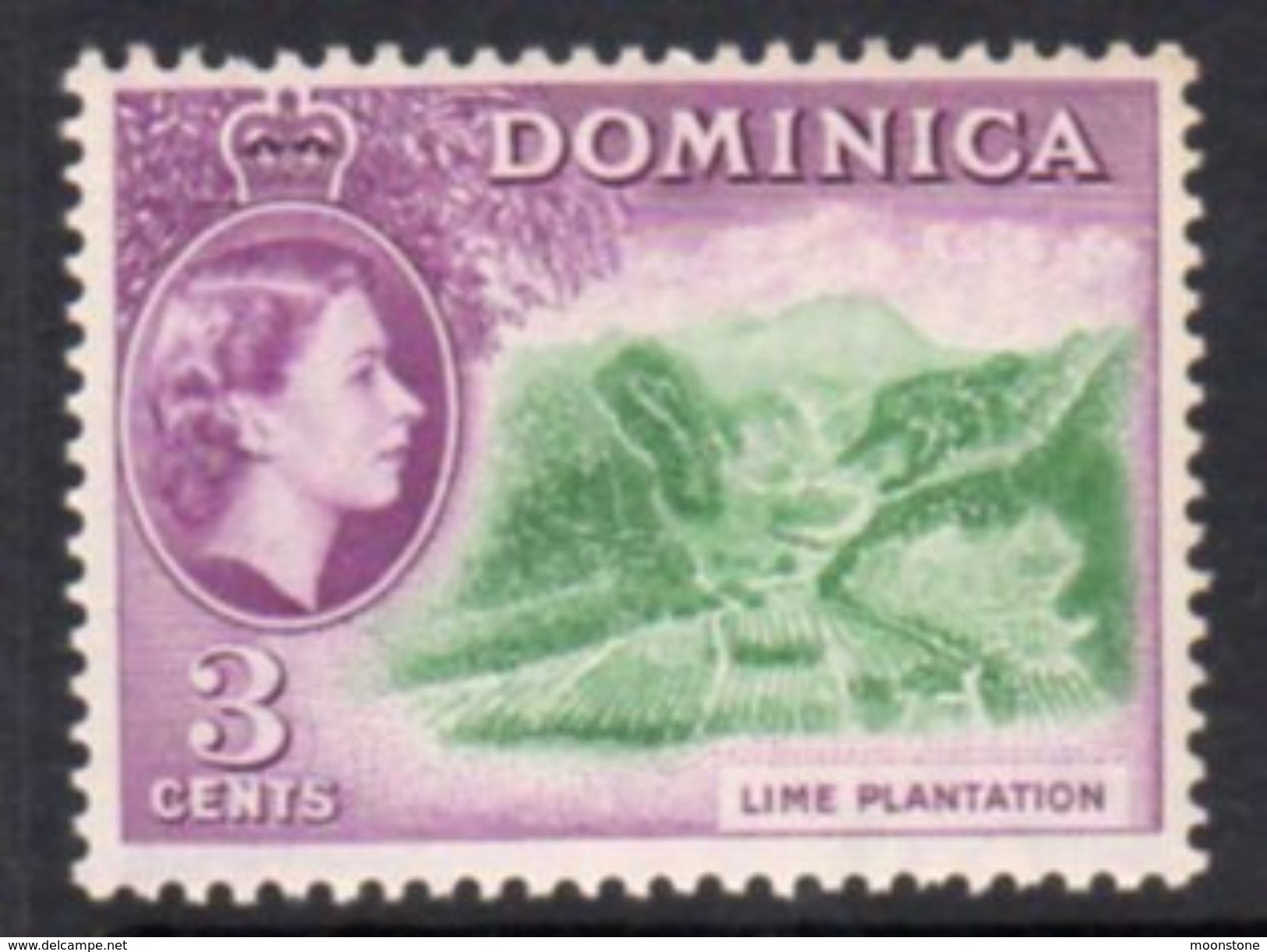 Dominica 1954-62 QEII 3c Lime Plantation Definitive, MNH, SG 143 - Dominica (...-1978)