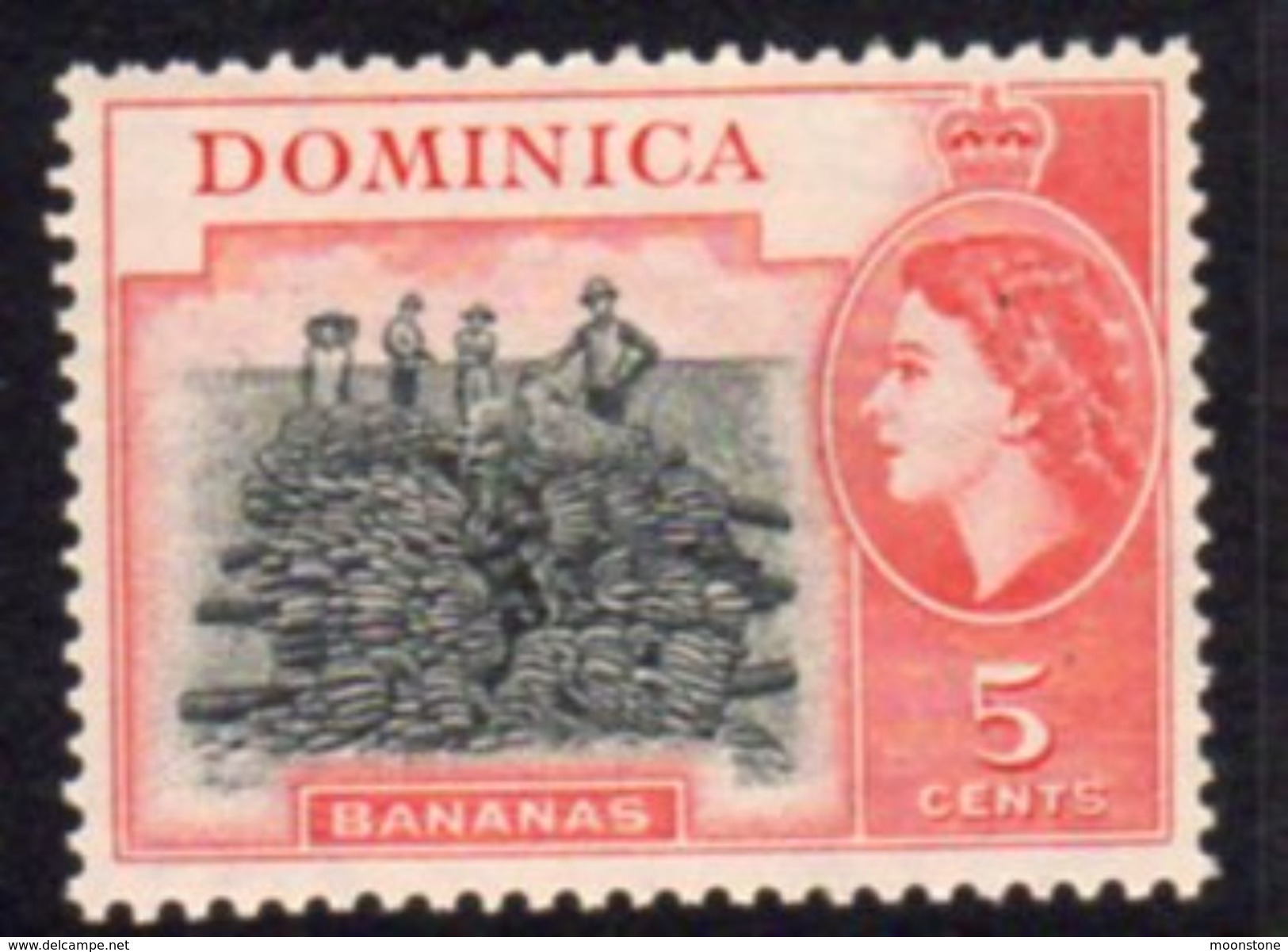 Dominica 1954-62 QEII  5c Bananas Definitive, MNH, SG 146 - Dominica (...-1978)