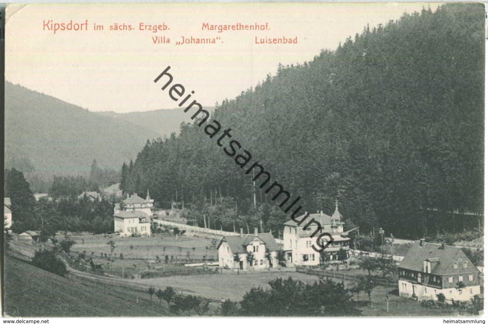 Kipsdorf - Margarethenhof - Villa Johanna - Luisenbad - Verlag Max Holfert Kipsdorf - Kipsdorf