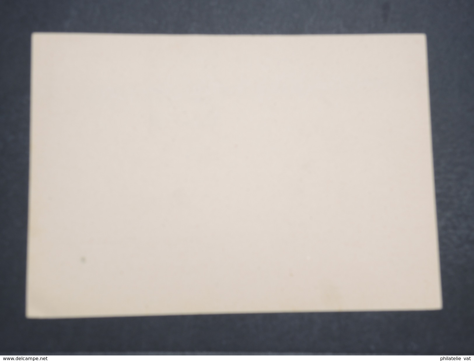 ALLEMAGNE - Carte Avec Entier Et Complément D'affranchissement Commémoratif Du Combat Du Füher - Avril 1945 - P22161 - Lettres & Documents