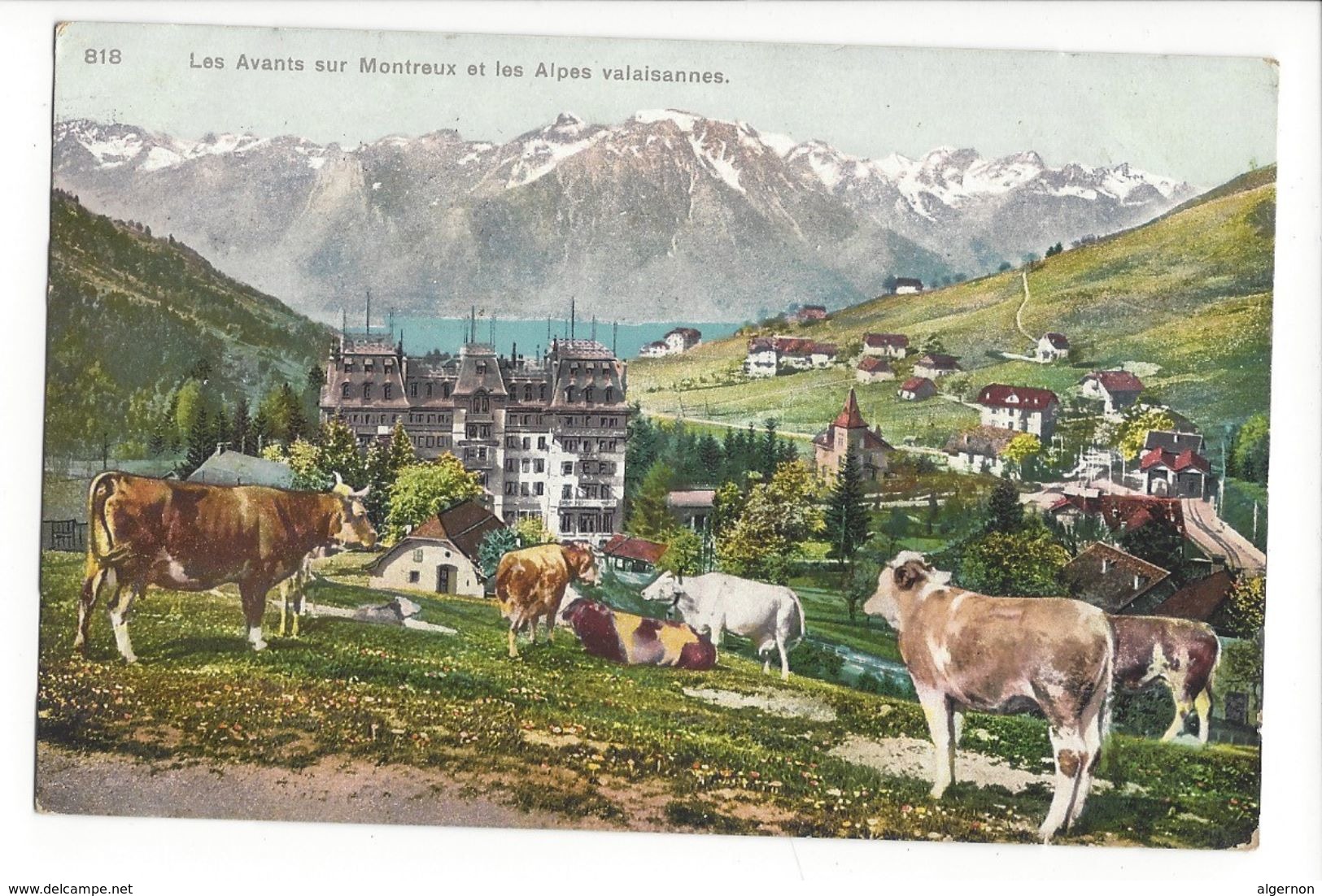 18136 - Les Avants Sur Montreux Et Les Alpes Valaisannes Vaches Circulée 1910 - Montreux