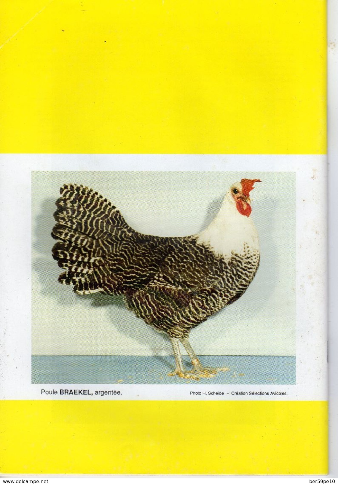 SELECTIONS AVICOLES AVICULTURE COLOMBICULTURE CUNICULTURE  FEVRIER 1998  No 367 - Animaux