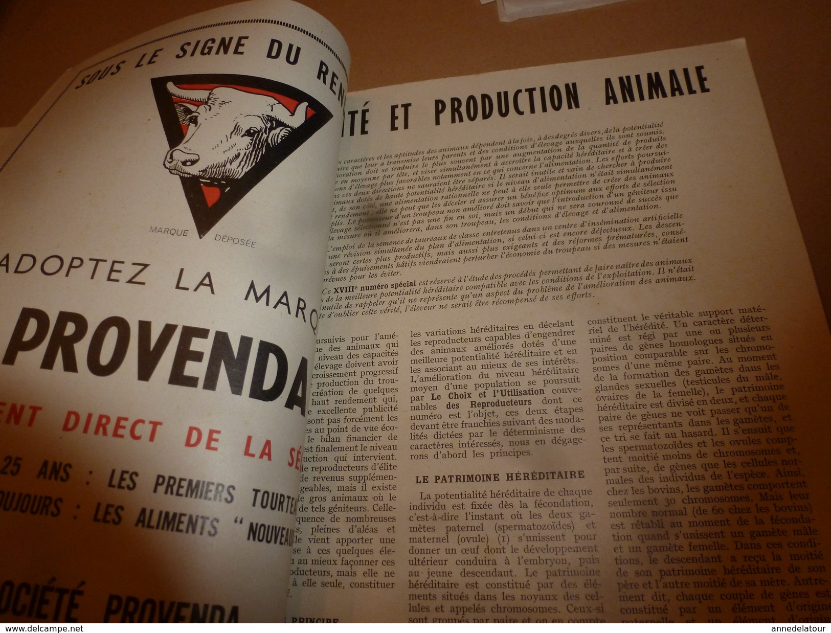 1955 N° SPECIAL De La Revue De L'Elevage BETAIL & BASSE-COUR--->CHOIX Et UTILSATION Des REPRODUCTEURS ; Etc - Animales