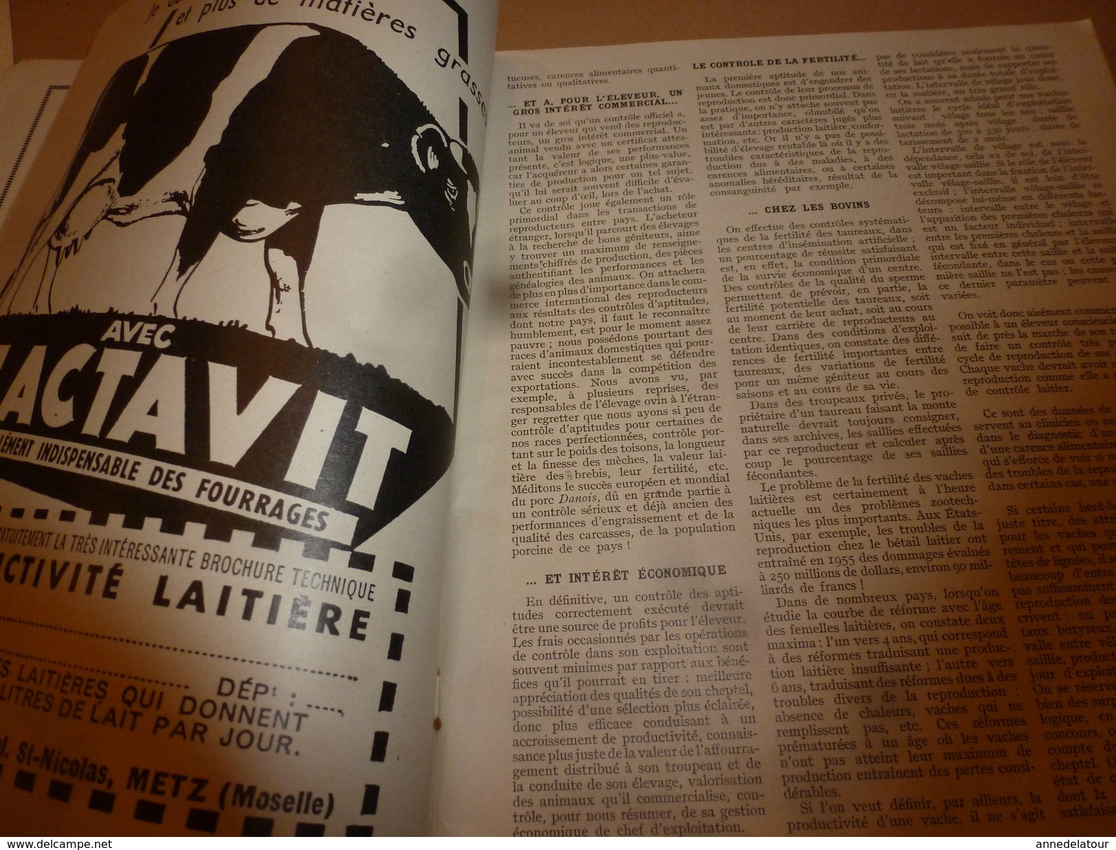 1955 N° SPECIAL De La Revue De L'Elevage BETAIL & BASSE-COUR--->CHOIX Et UTILSATION Des REPRODUCTEURS ; Etc - Animales