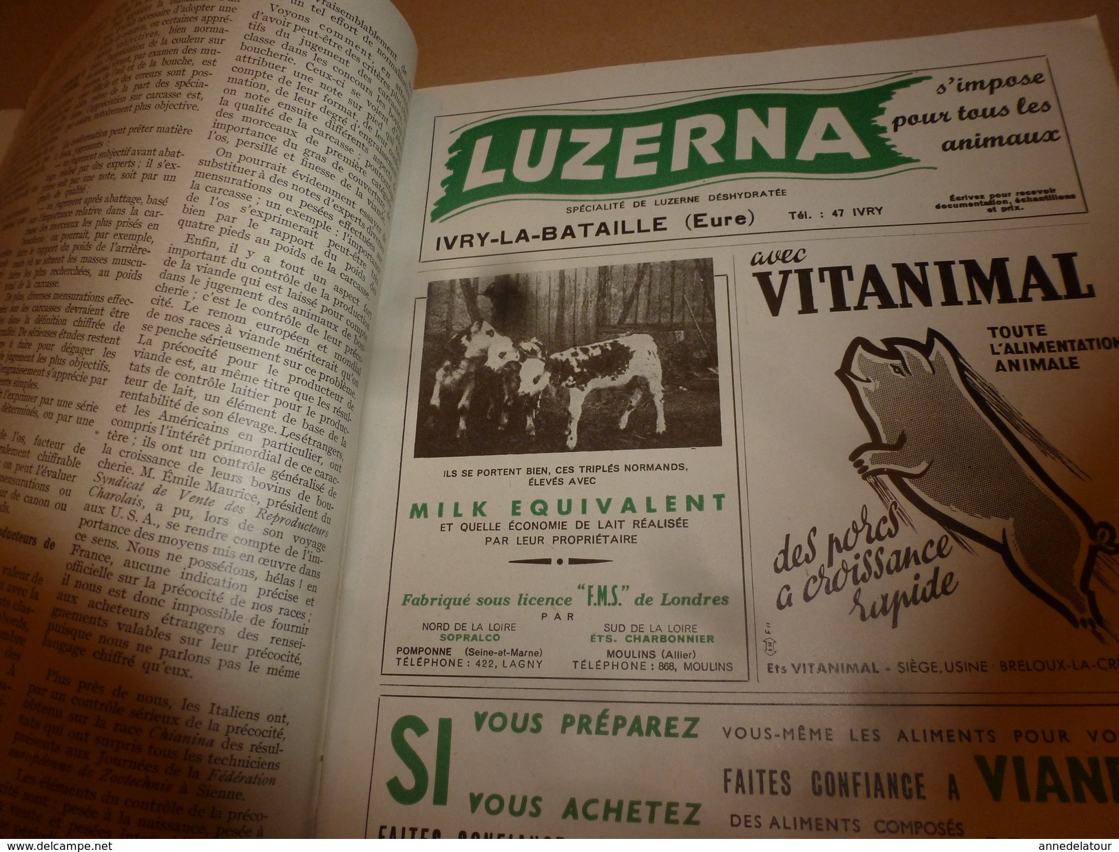 1955 N° SPECIAL De La Revue de L'Elevage BETAIL & BASSE-COUR--->CHOIX et UTILSATION des REPRODUCTEURS ; etc