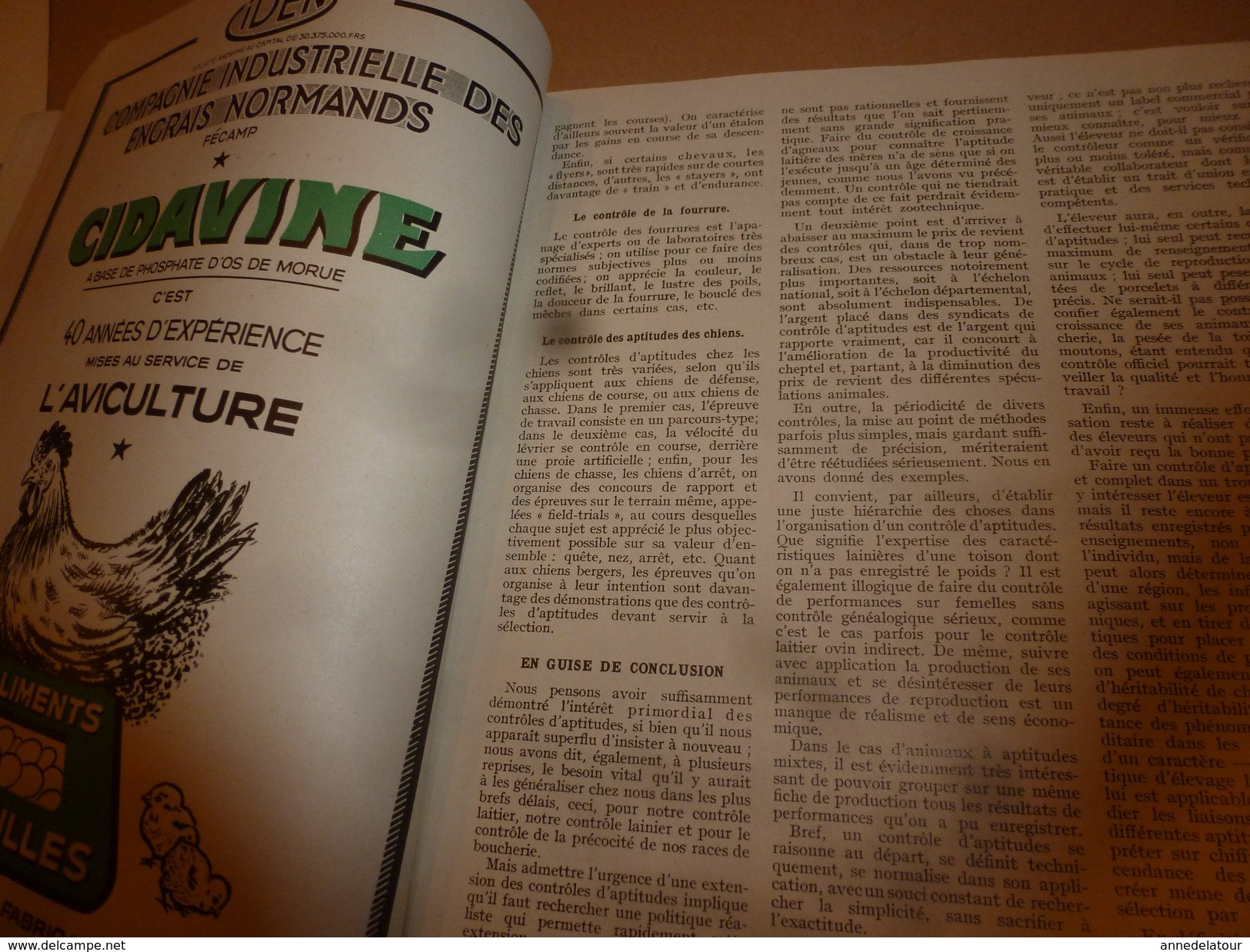 1955 N° SPECIAL De La Revue de L'Elevage BETAIL & BASSE-COUR--->CHOIX et UTILSATION des REPRODUCTEURS ; etc